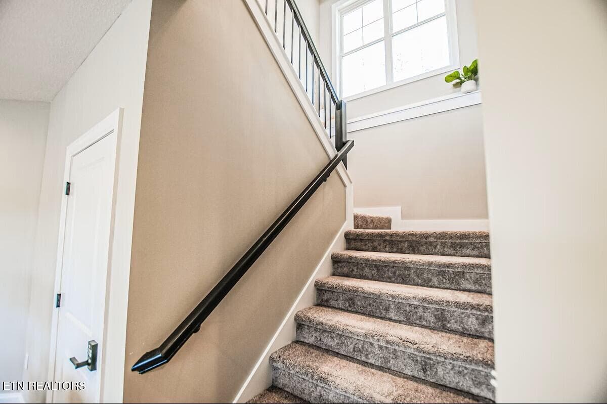 - - 1765 Cove Pointe Rd, LaFollette, TN 37766, LaFollette