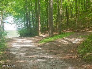 boat ramp - S Shorewood Lane, Caryville, TN 37714
