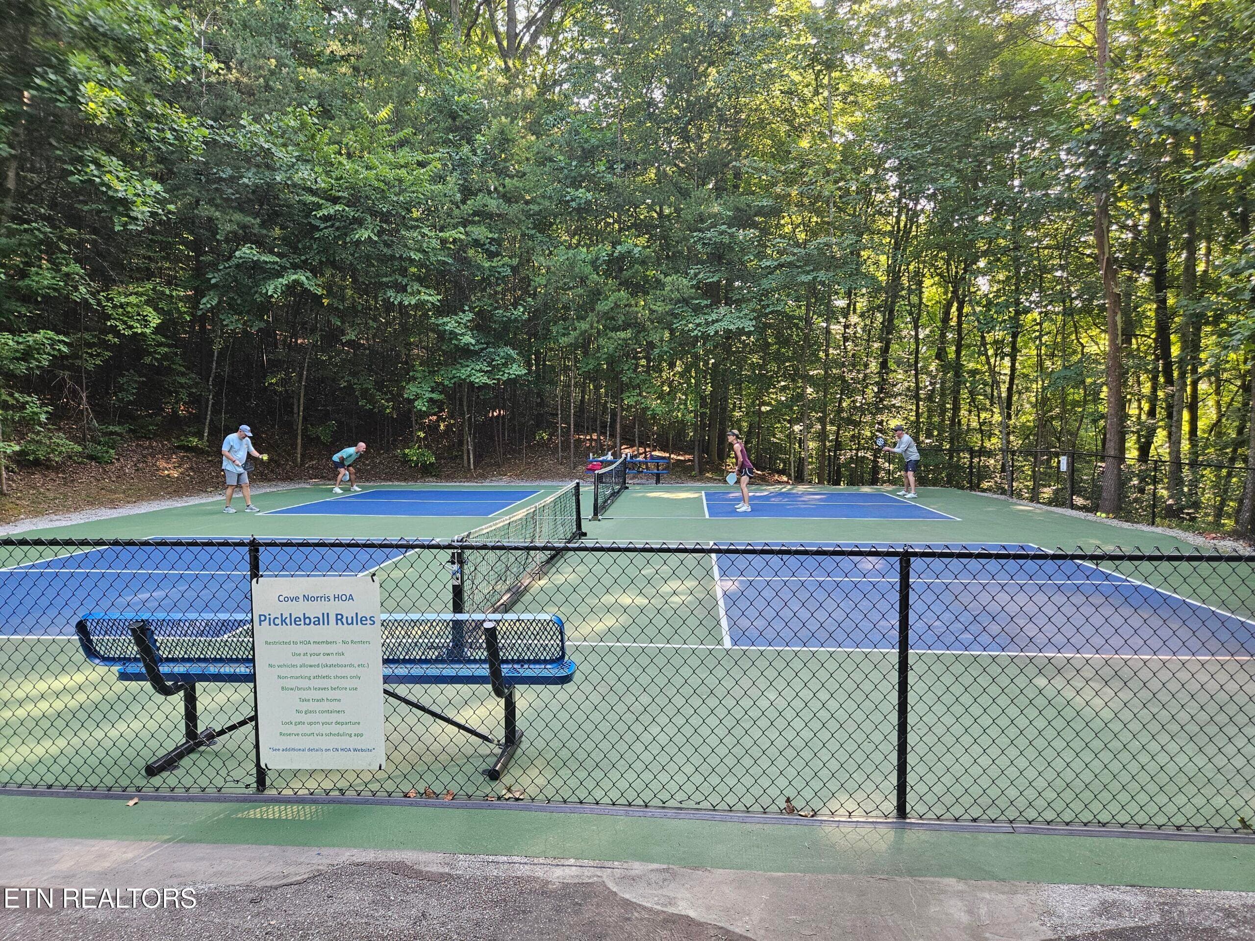 pickleball courts - S Shorewood Lane, Caryville, TN 37714