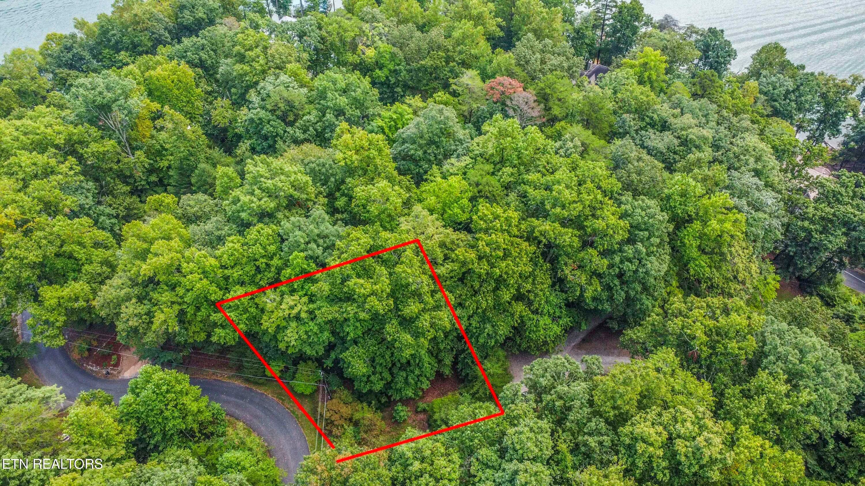DRONE VIEW - S Shorewood Lane, Caryville, TN 37714