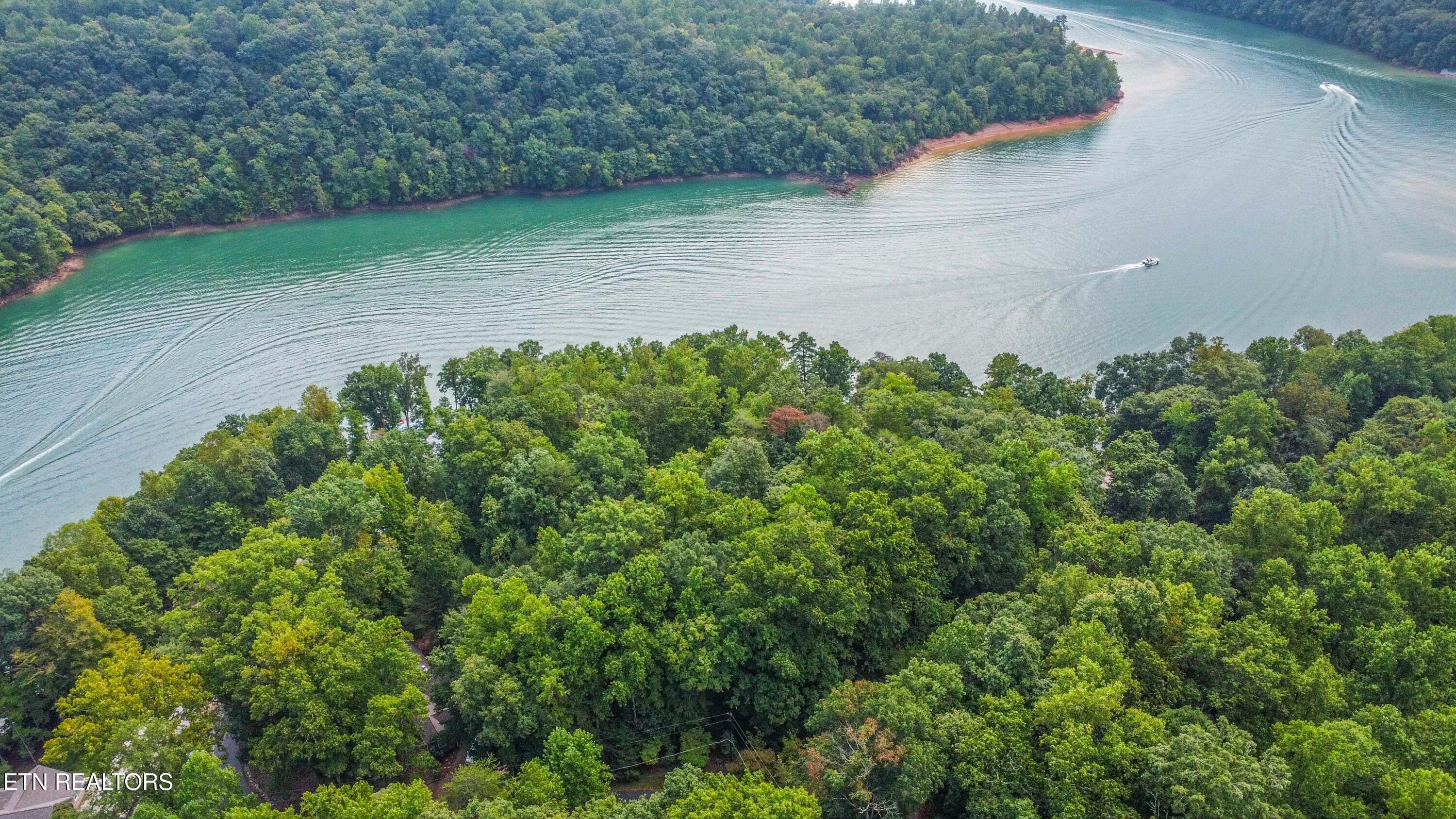 DRONE VIEW - S Shorewood Lane, Caryville, TN 37714