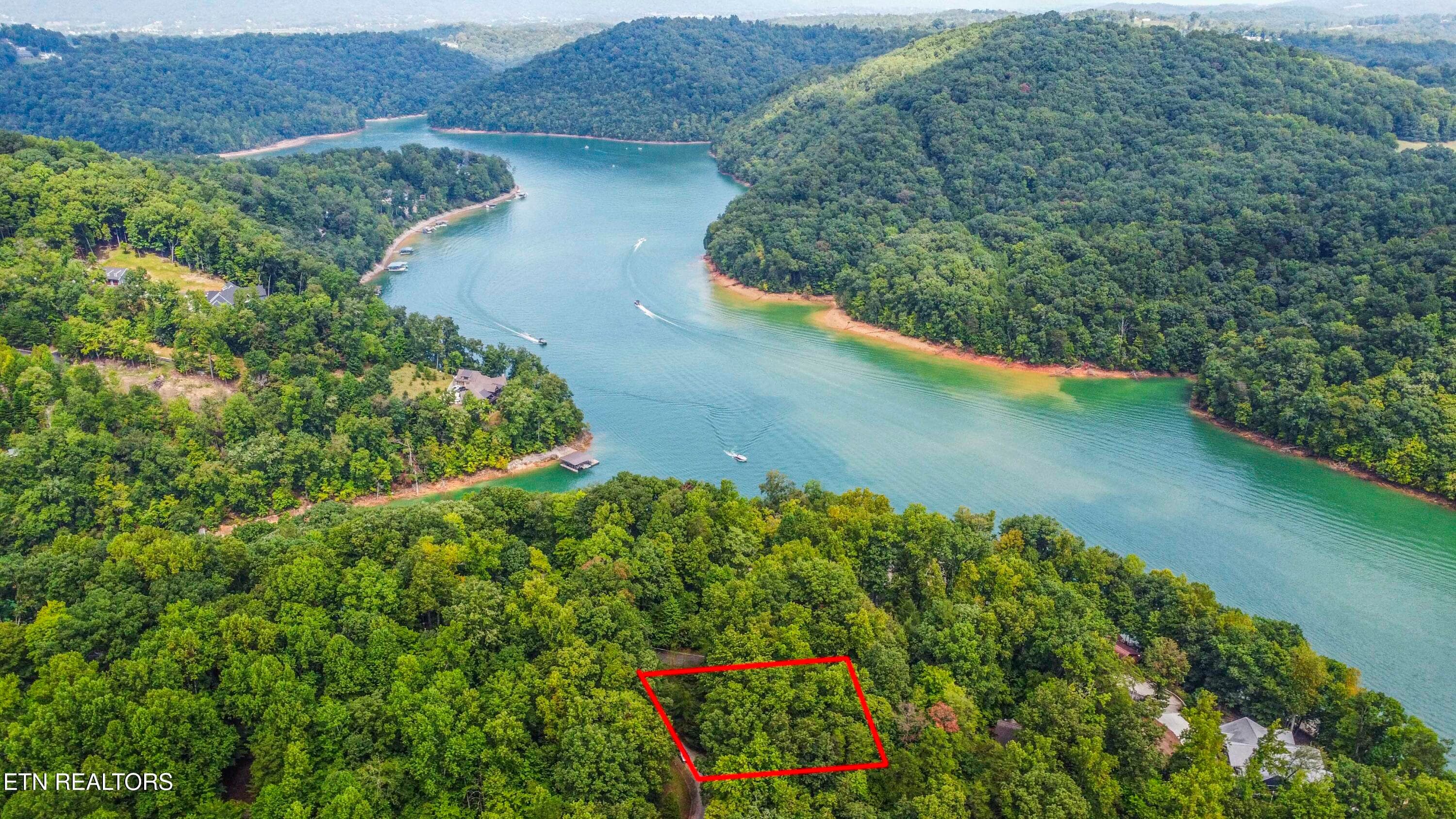 AERIAL VIEW - S Shorewood Lane, Caryville, TN 37714