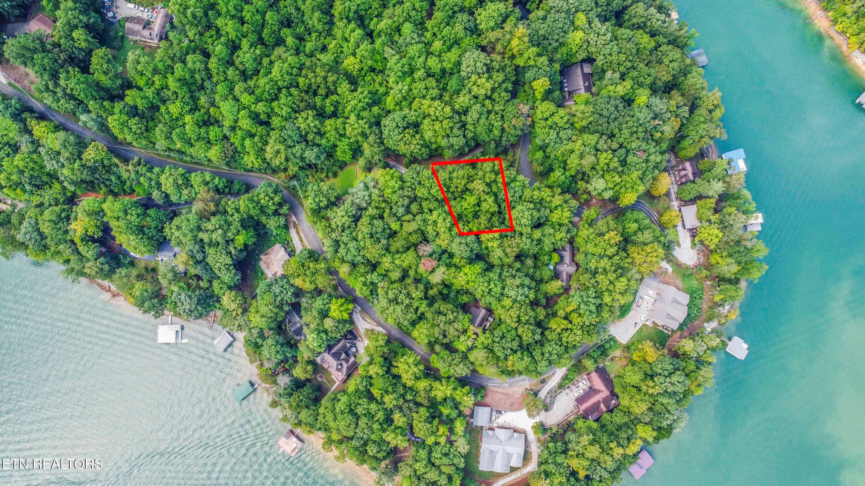 DRONE VIEW - S Shorewood Lane, Caryville, TN 37714