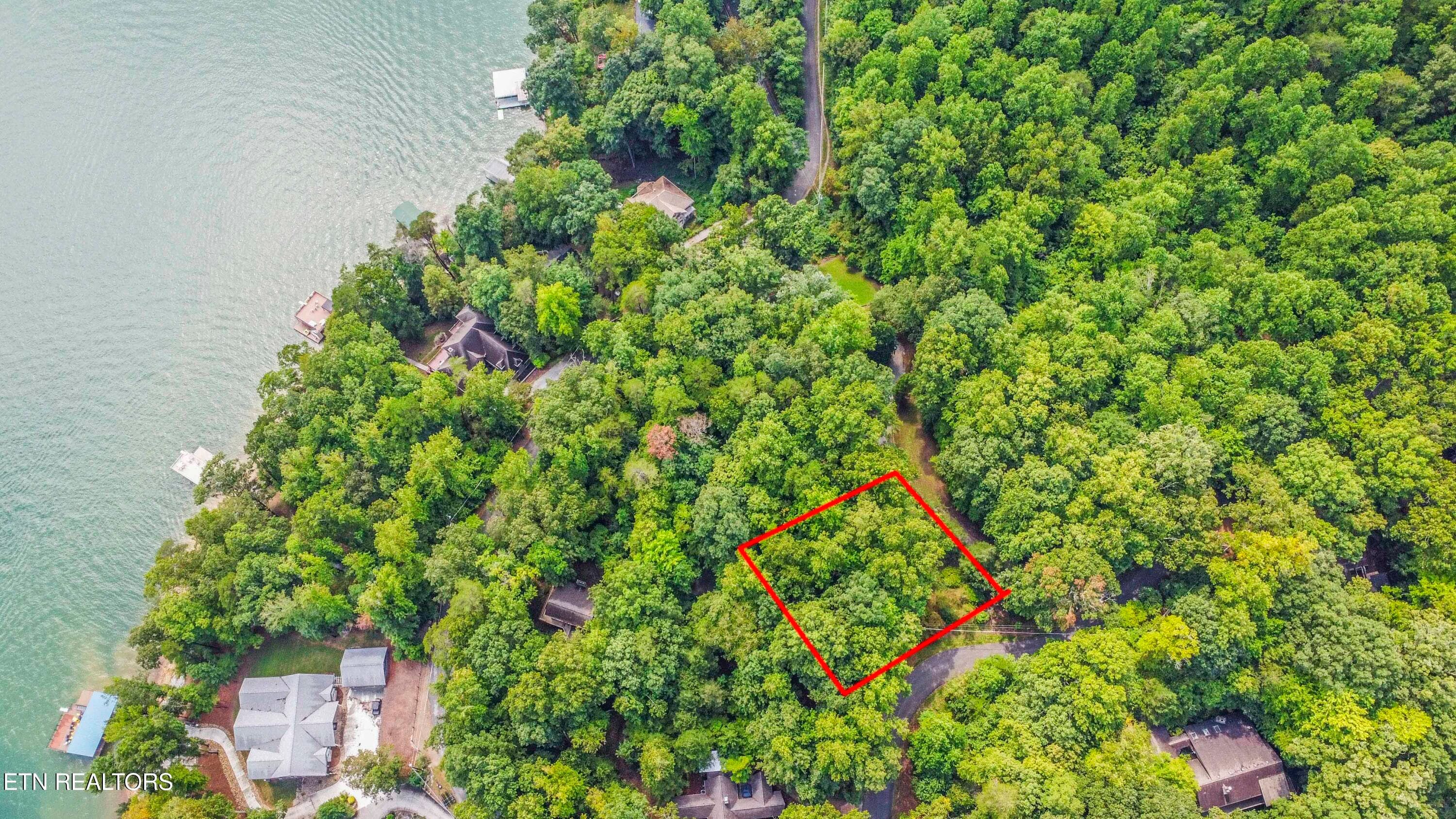 DRONE VIEW - S Shorewood Lane, Caryville, TN 37714
