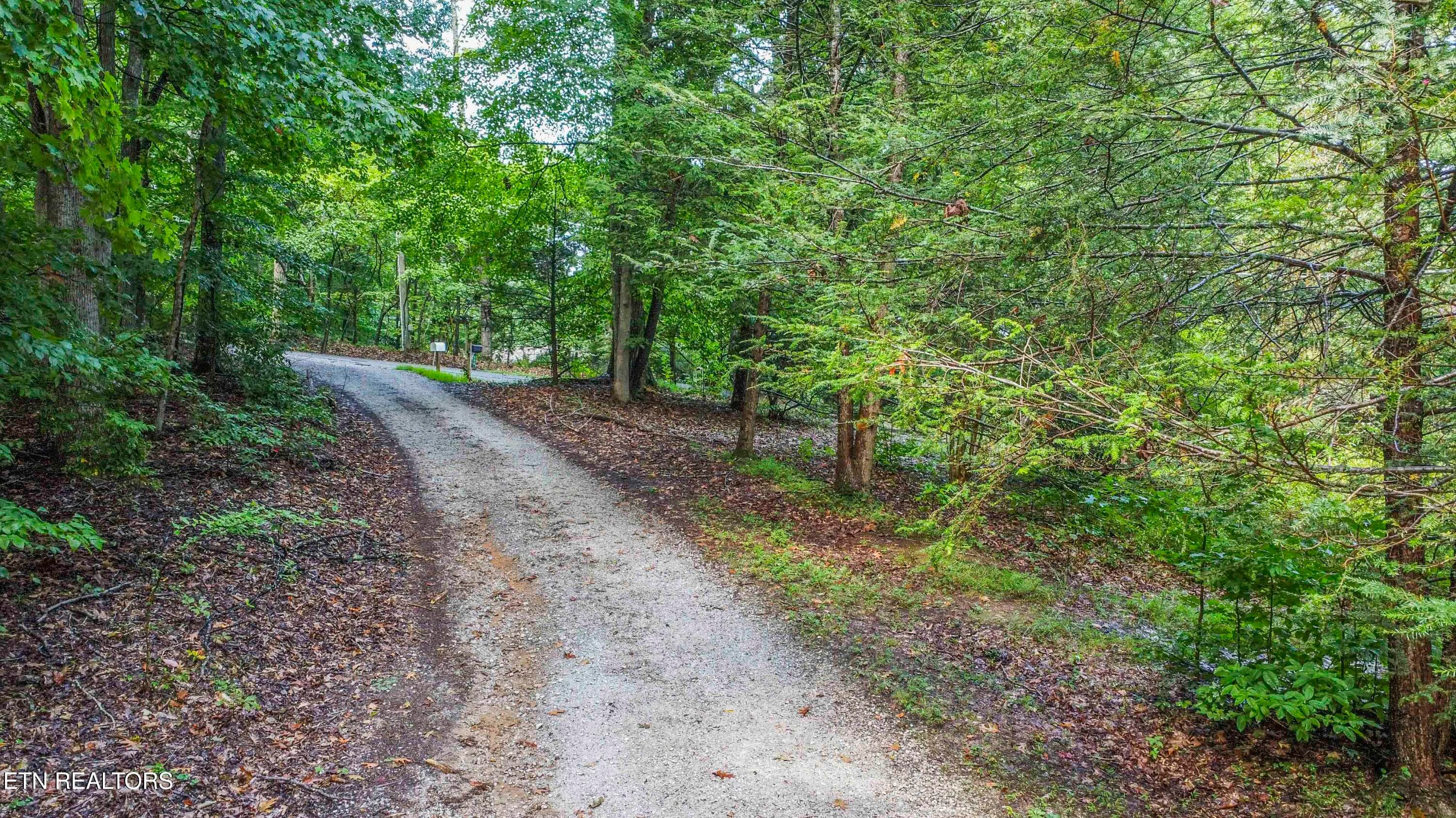 ROAD VIEW - S Shorewood Lane, Caryville, TN 37714