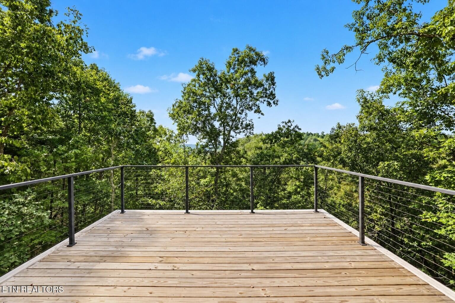 4 - 551 Soft Ridge Rd, Celina, TN 38551