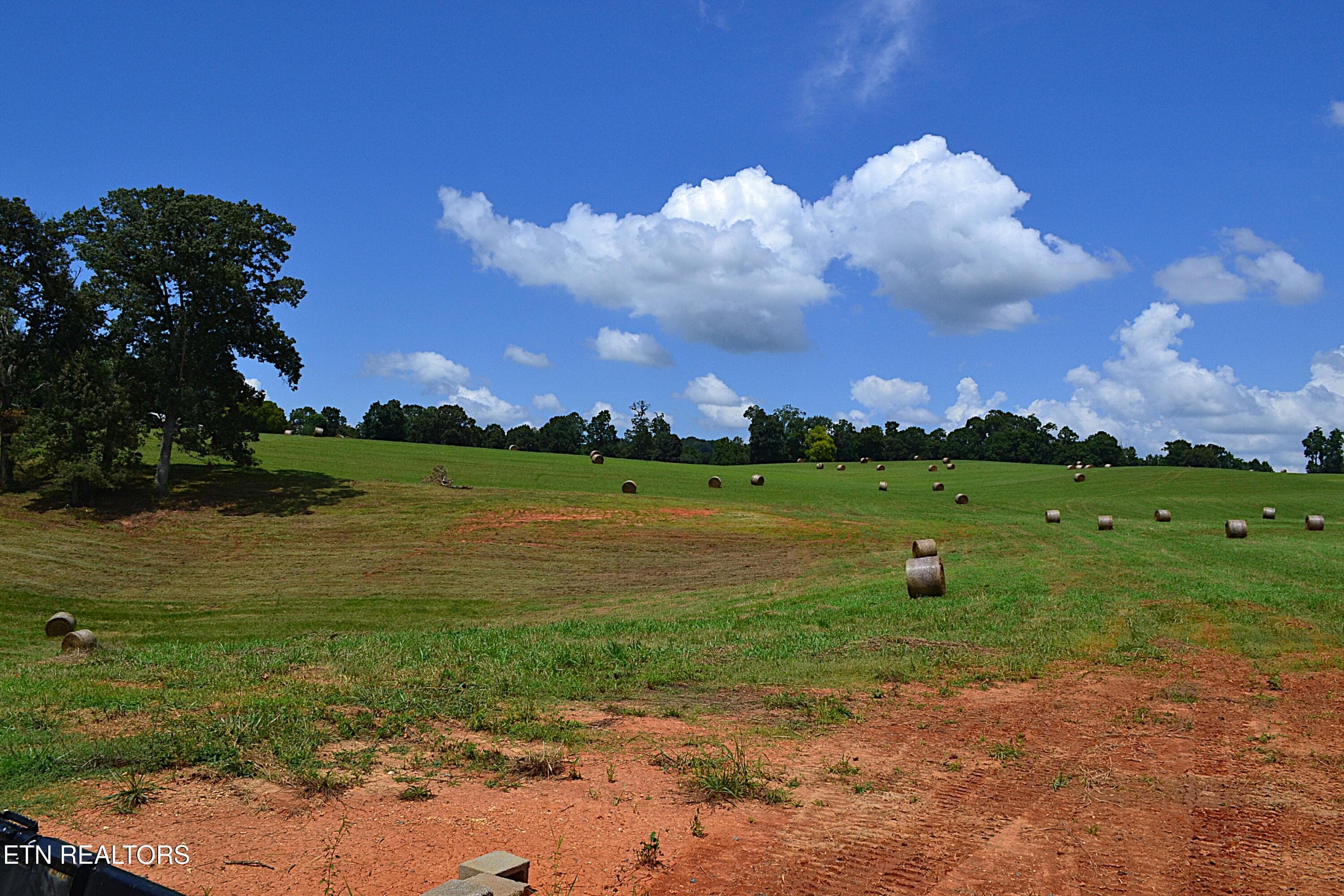 DSC_0080 - 940 Thorngrove Pike, Strawberry Plains, TN 37871, Strawberry Plains