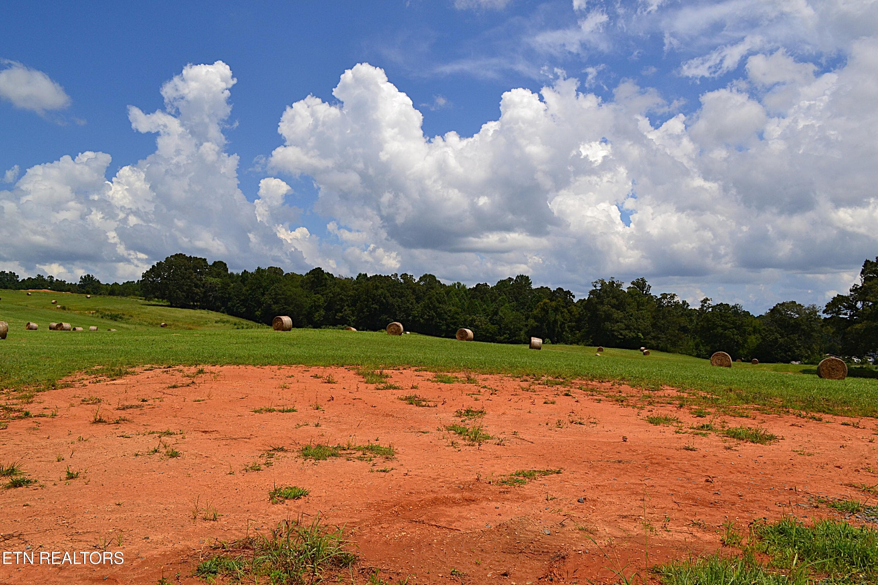 DSC_0081 - 940 Thorngrove Pike, Strawberry Plains, TN 37871, Strawberry Plains
