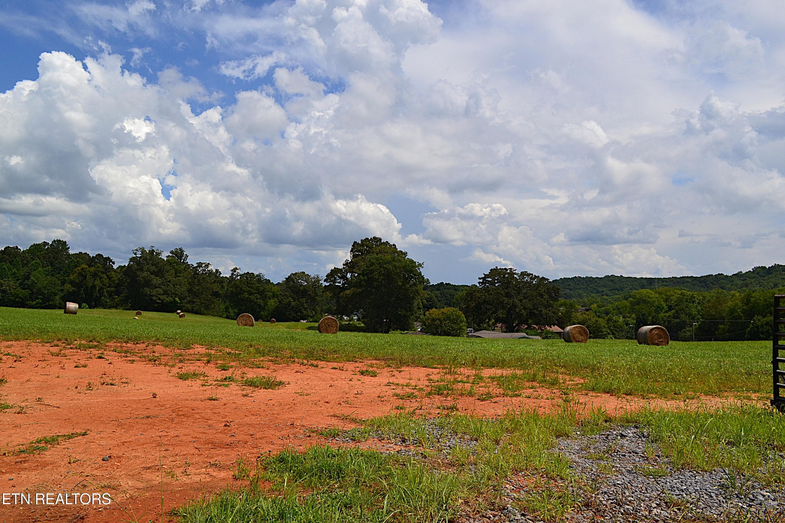 DSC_0082 - 940 Thorngrove Pike, Strawberry Plains, TN 37871, Strawberry Plains