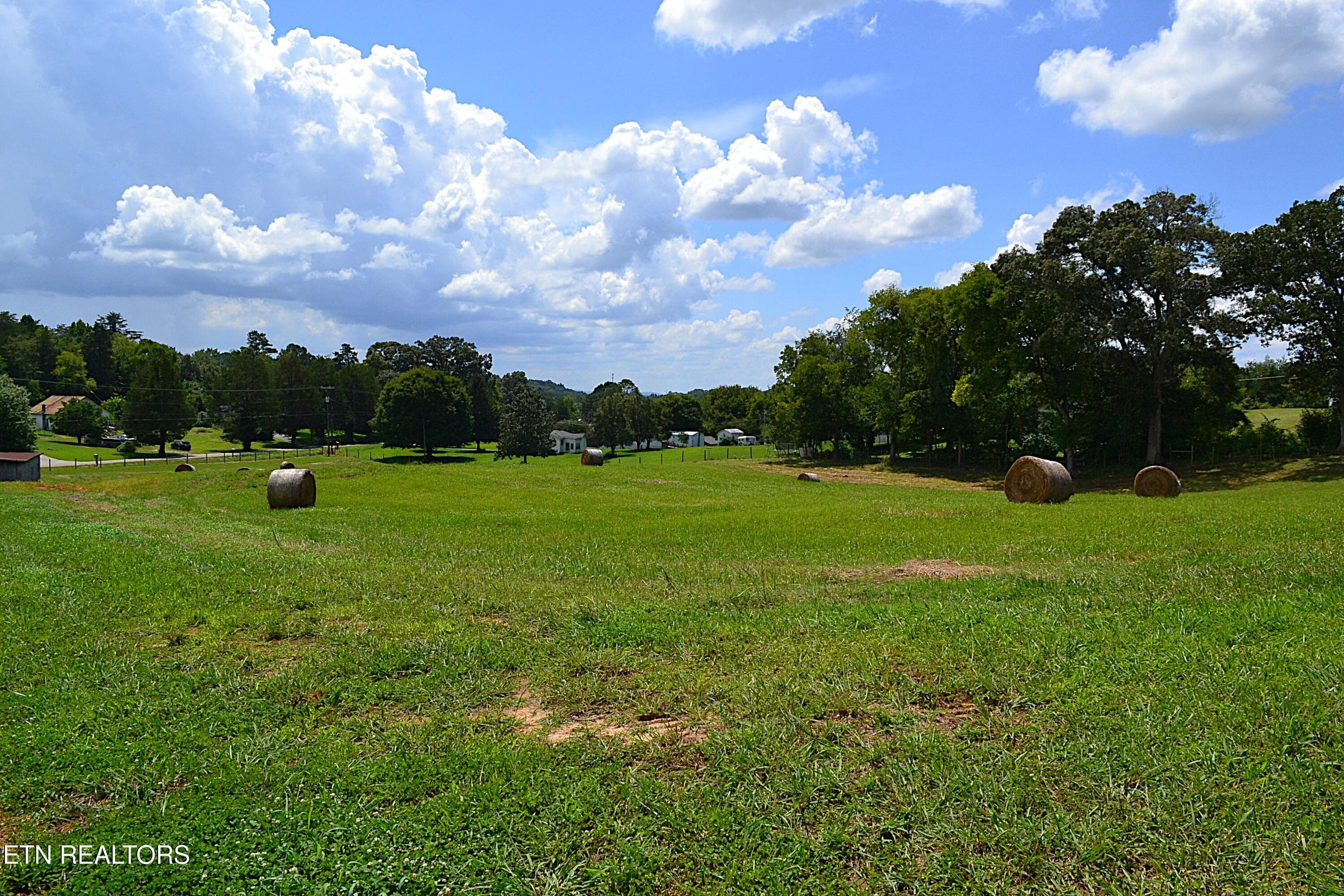 DSC_0087 - 940 Thorngrove Pike, Strawberry Plains, TN 37871, Strawberry Plains