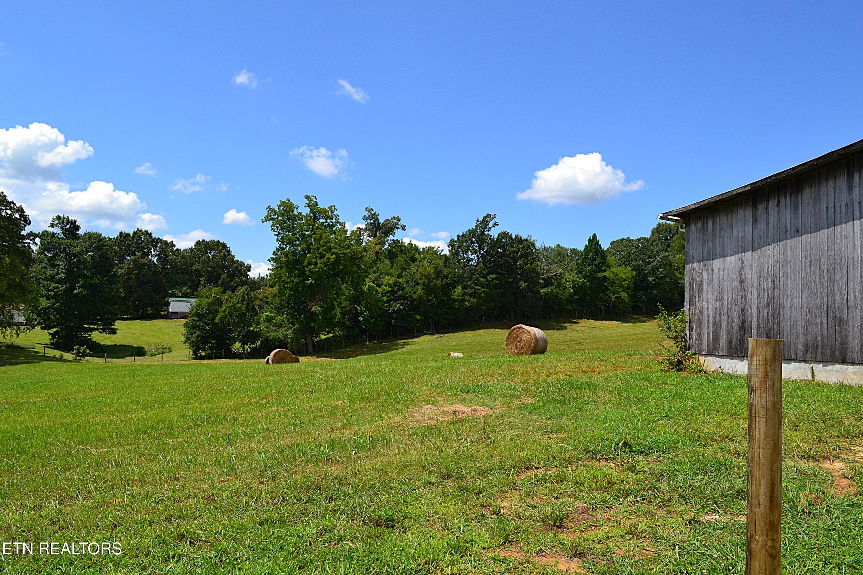 DSC_0088 - 940 Thorngrove Pike, Strawberry Plains, TN 37871, Strawberry Plains