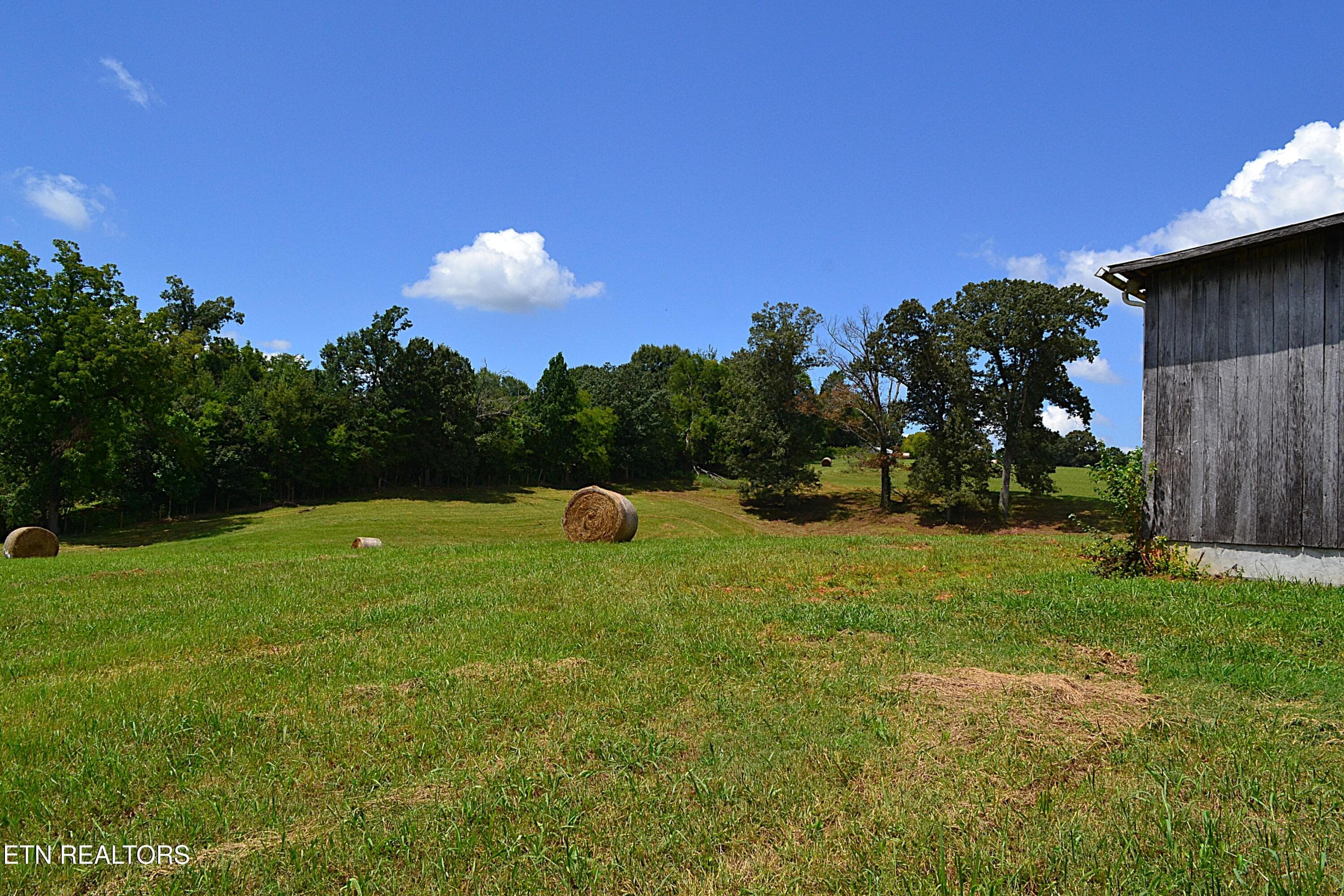 DSC_0089 - 940 Thorngrove Pike, Strawberry Plains, TN 37871, Strawberry Plains
