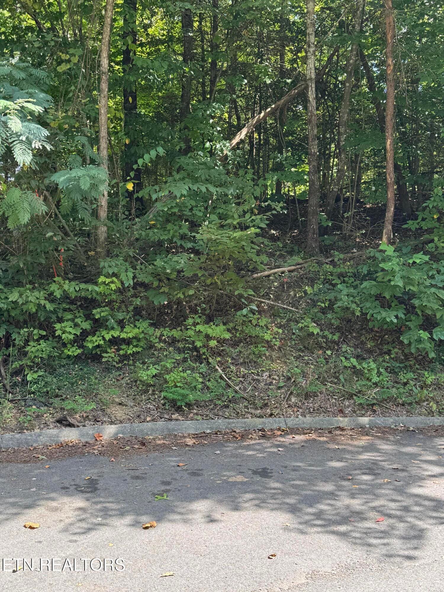 S. B. Ogle Lane, Sevierville, TN 37863