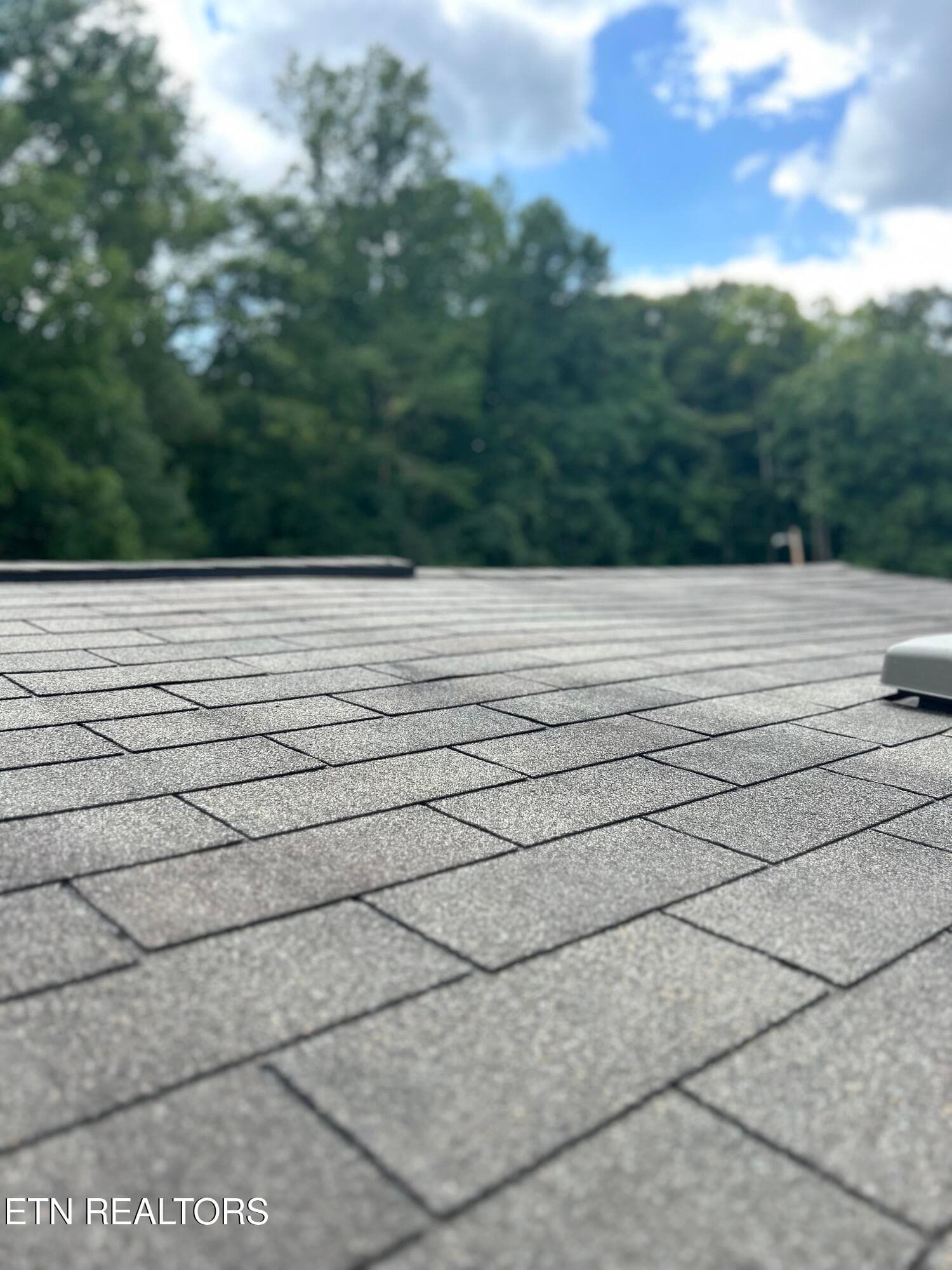 Shingled Roof - 112 Stiner Shores Rd, Sharps Chapel, TN 37866