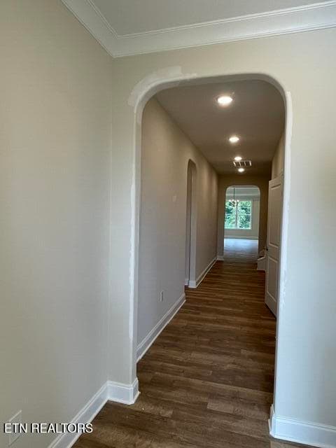 IMG_8284 - 12850 Hemlock Grove Lane, Knoxville, TN 37922, Knoxville