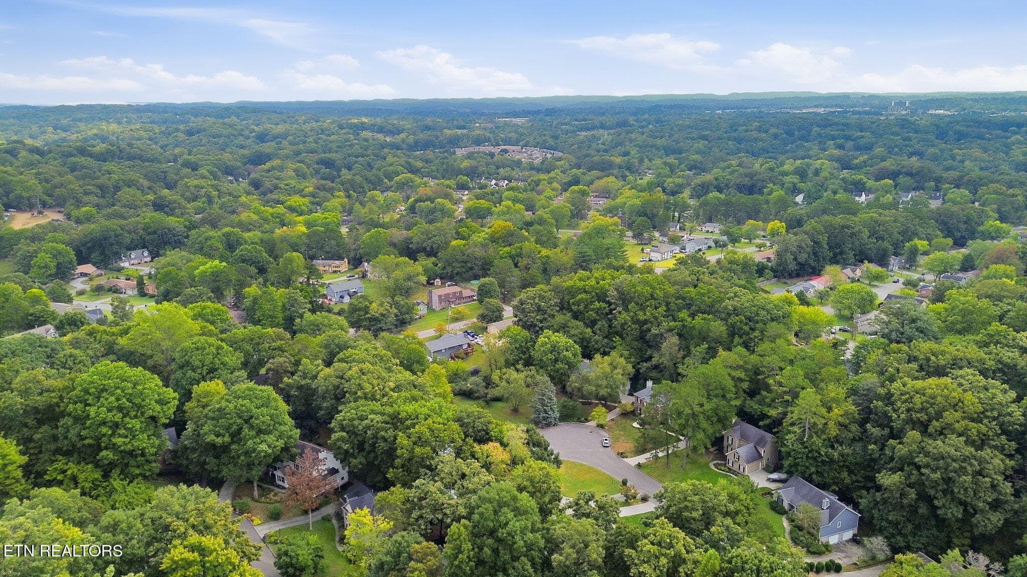 41-web-or-mls-DJI_0198 - 1305 Mark Joseph Lane, Knoxville, TN 37931