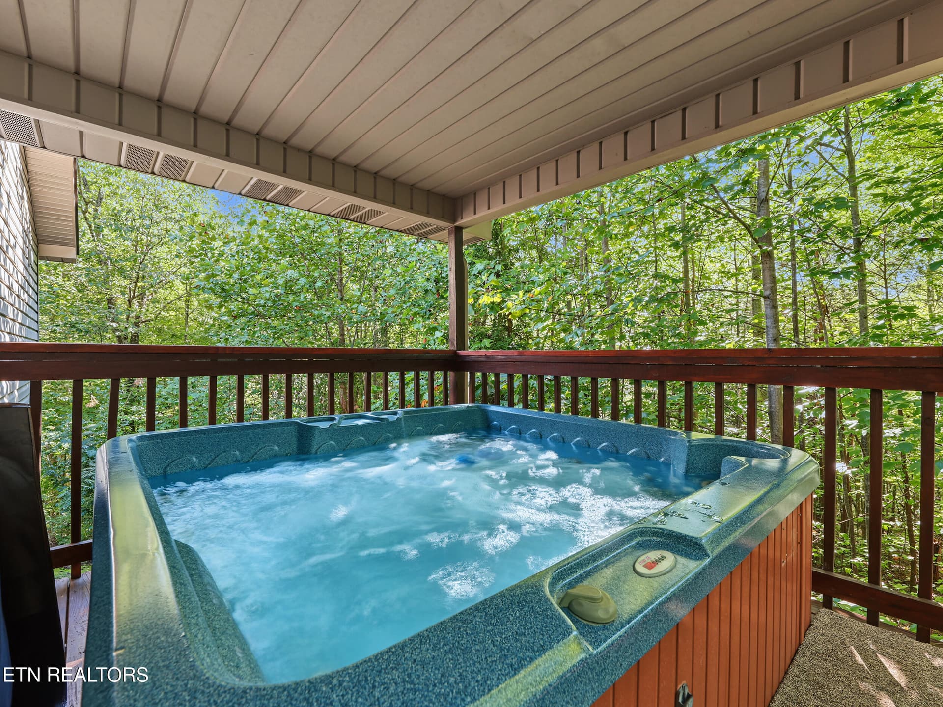 IMG_2685 - 1533 Honey Bee Cove Way, Pigeon Forge, TN 37863