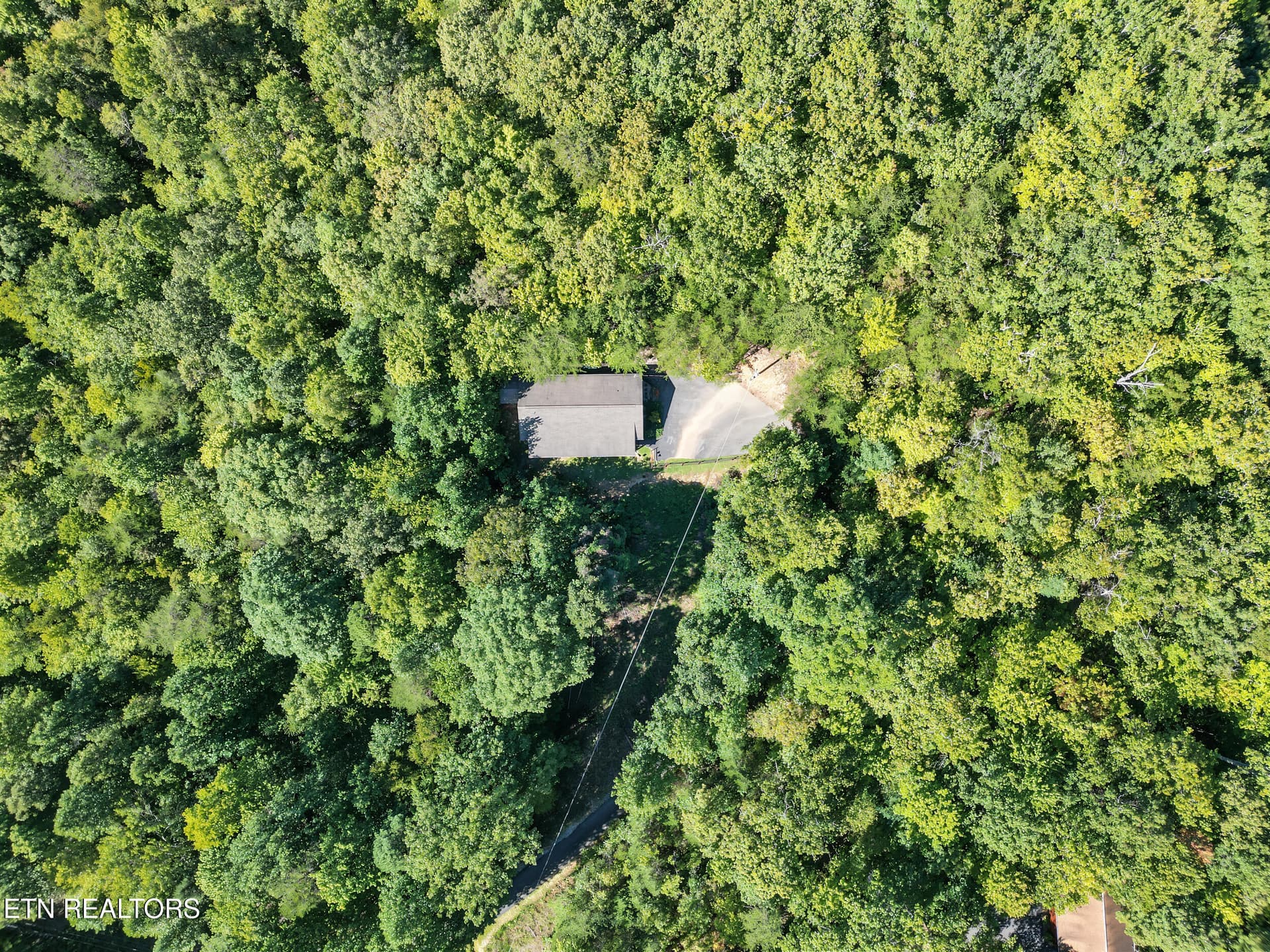 DJI_0065_ (2) - 1533 Honey Bee Cove Way, Pigeon Forge, TN 37863