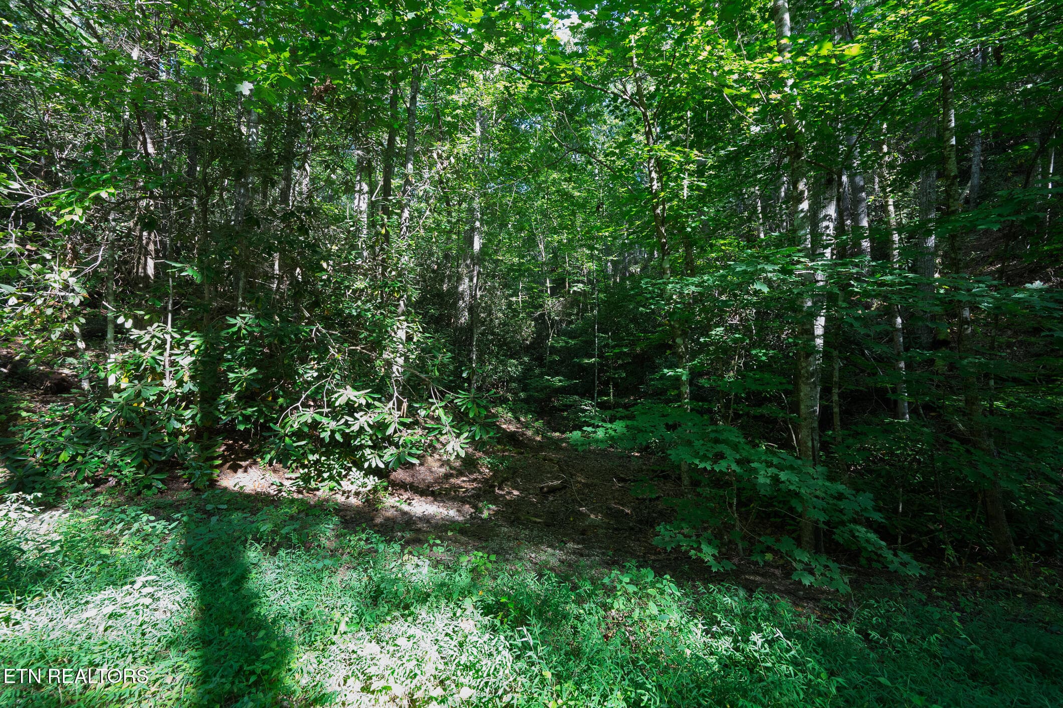 Real Estate - Saddle Ridge _Walland_9-25 - TBD Walnut Flats Rd, Walland, TN 37886, Walland