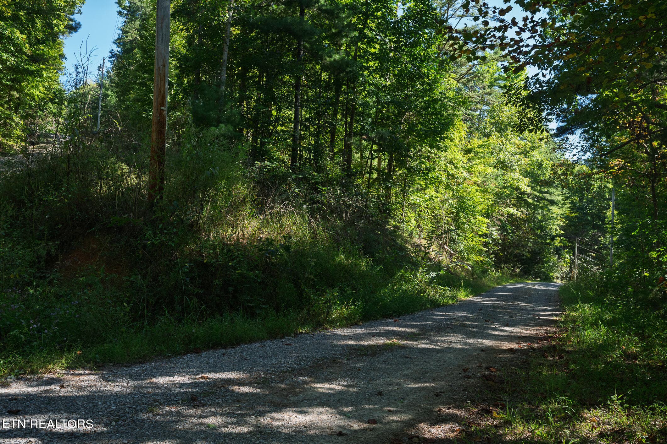 Real Estate - Saddle Ridge _Walland_9-25 - TBD Walnut Flats Rd, Walland, TN 37886, Walland