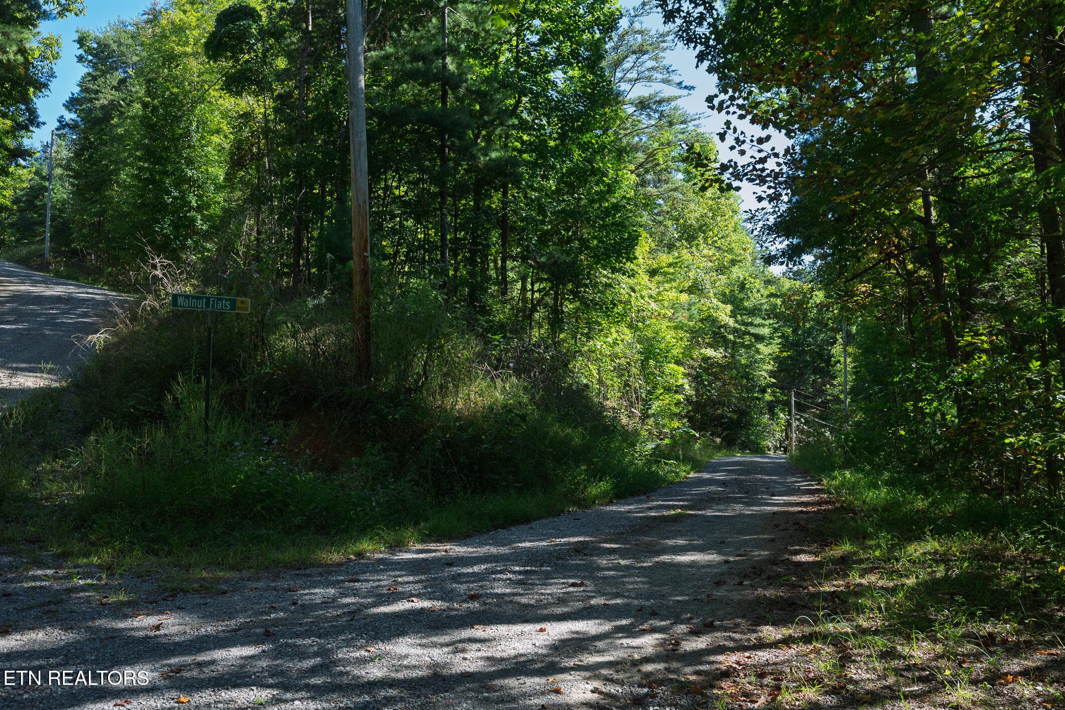 Real Estate - Saddle Ridge _Walland_9-25 - TBD Walnut Flats Rd, Walland, TN 37886, Walland