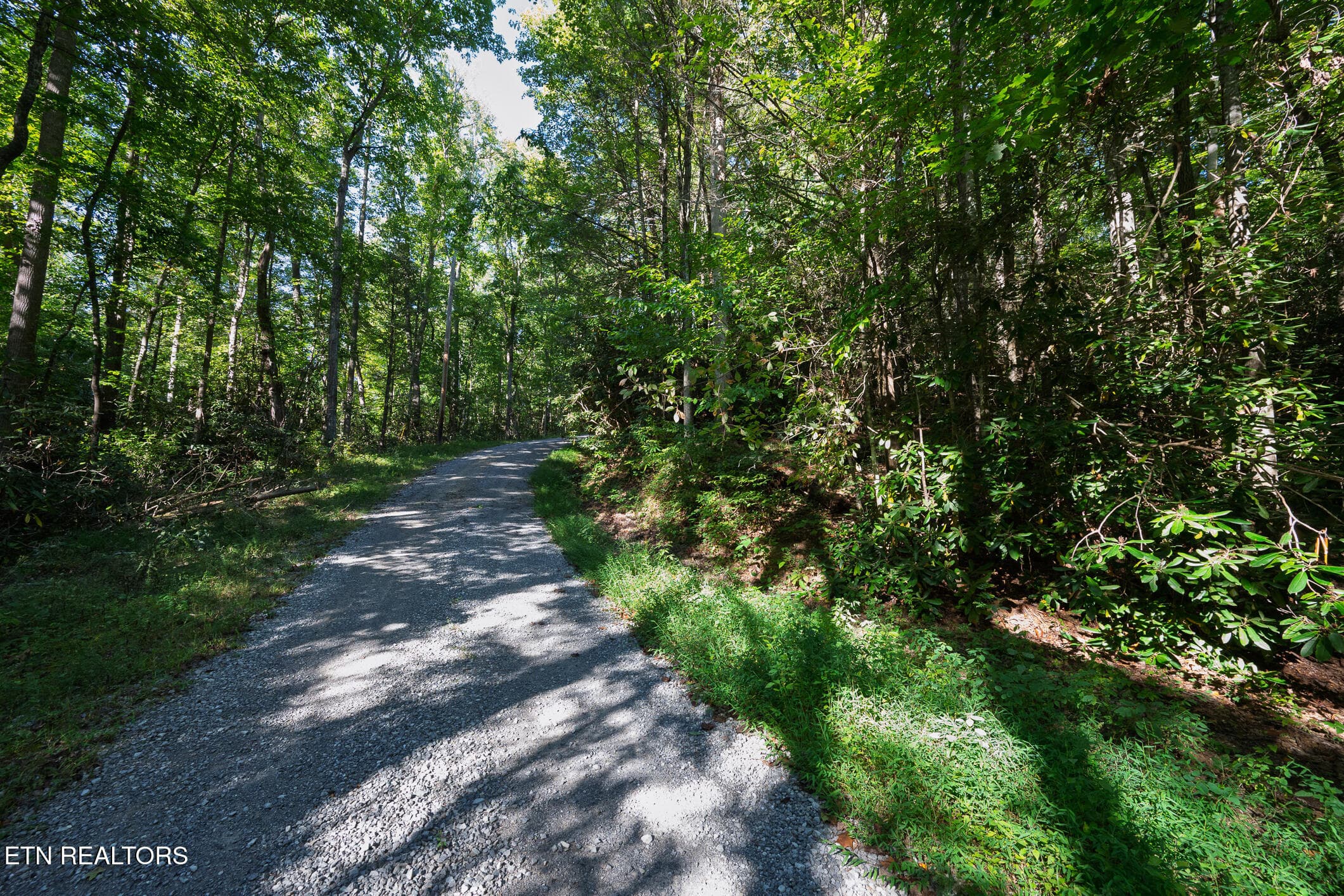 Real Estate - Saddle Ridge _Walland_9-25 - TBD Walnut Flats Rd, Walland, TN 37886, Walland