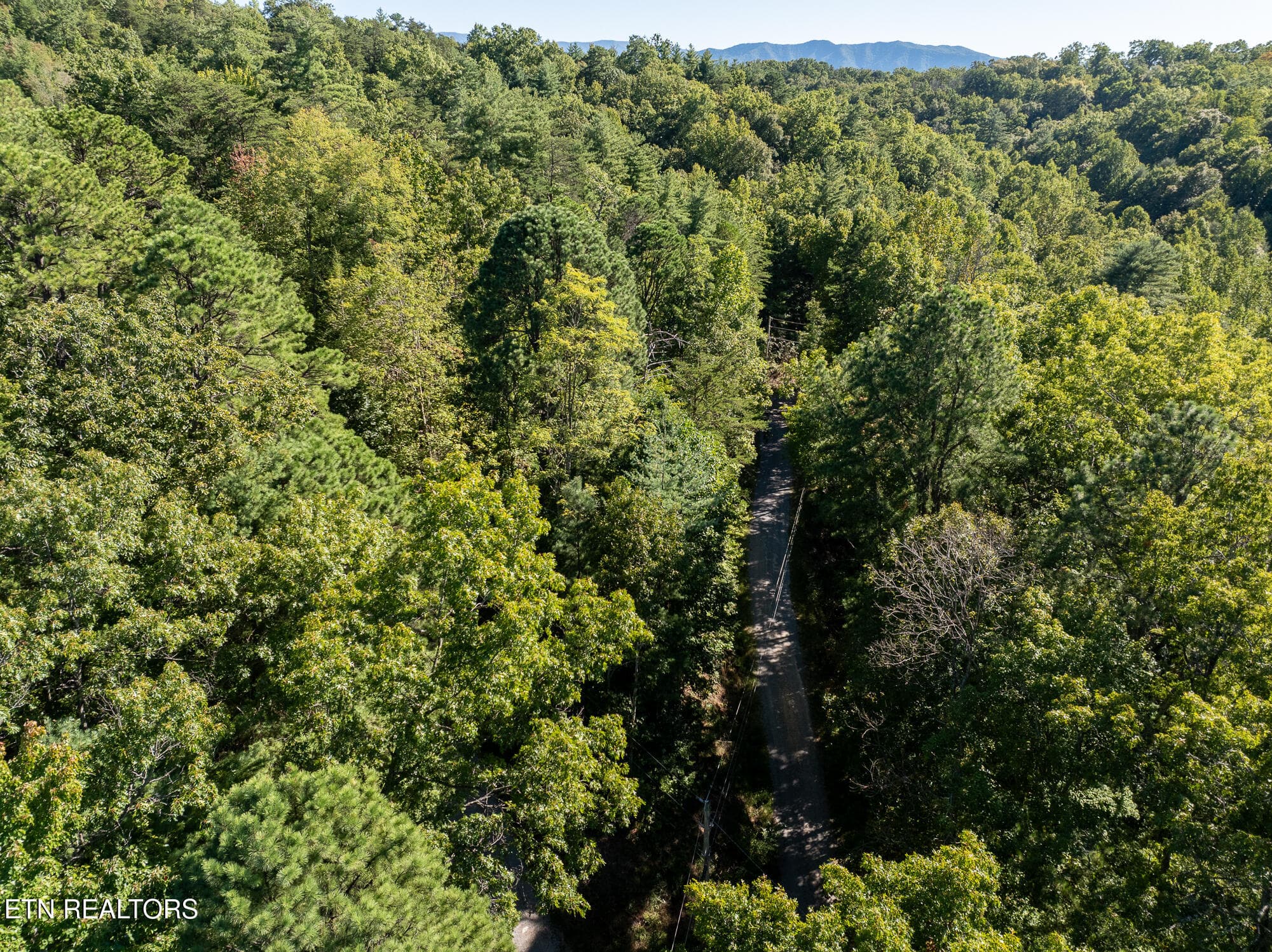 Real Estate - Saddle Ridge _Walland_9-25 - TBD Walnut Flats Rd, Walland, TN 37886, Walland