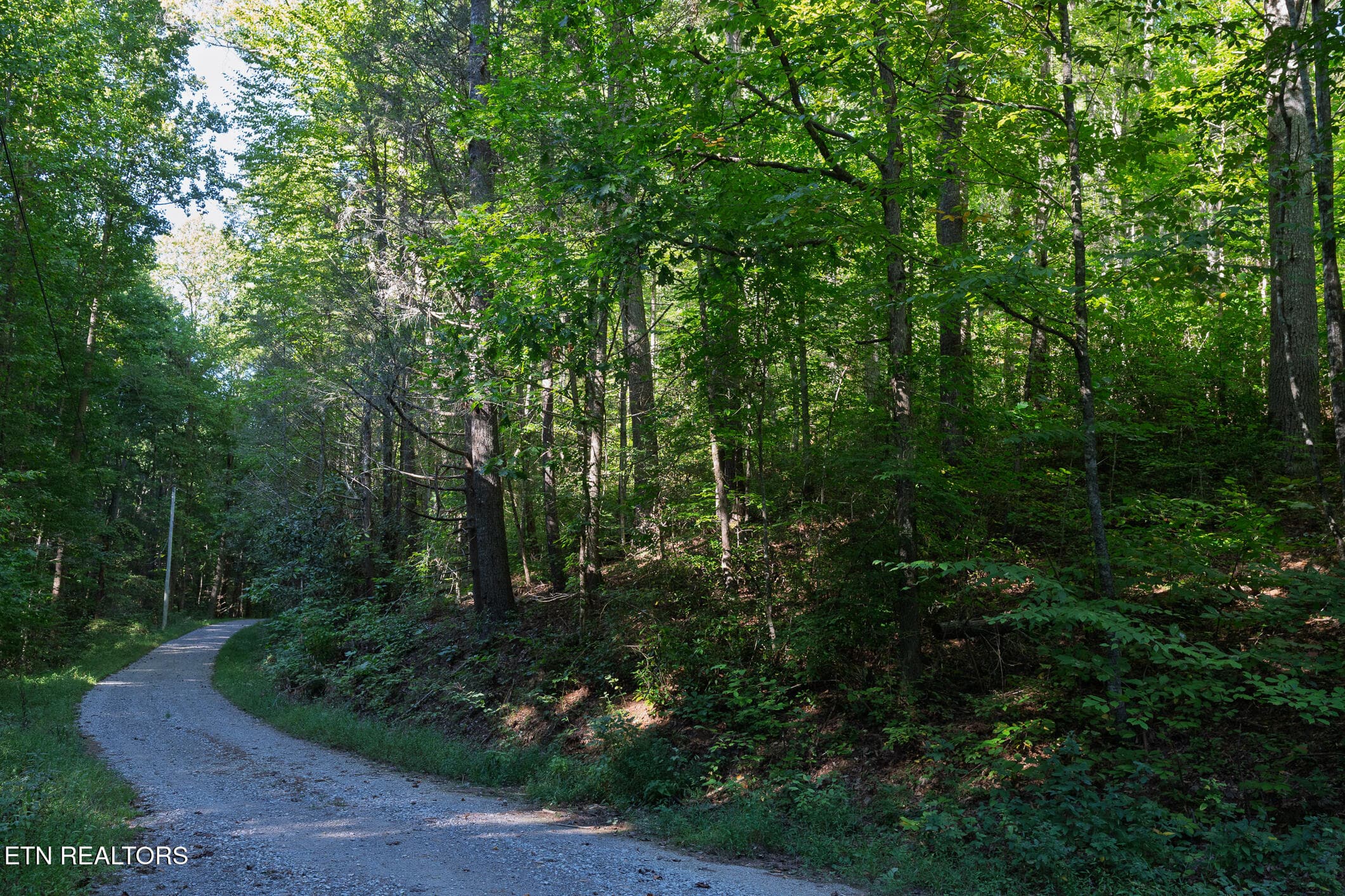 Real Estate - Saddle Ridge _Walland_9-25 - TBD Walnut Flats Rd, Walland, TN 37886, Walland
