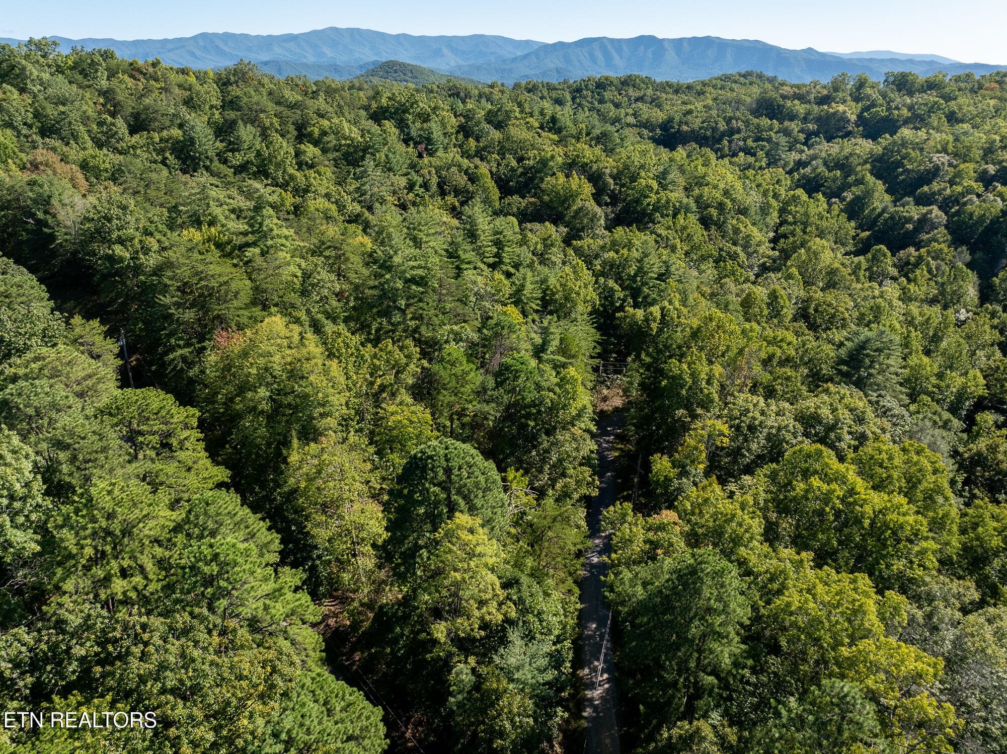 Real Estate - Saddle Ridge _Walland_9-25 - TBD Walnut Flats Rd, Walland, TN 37886, Walland