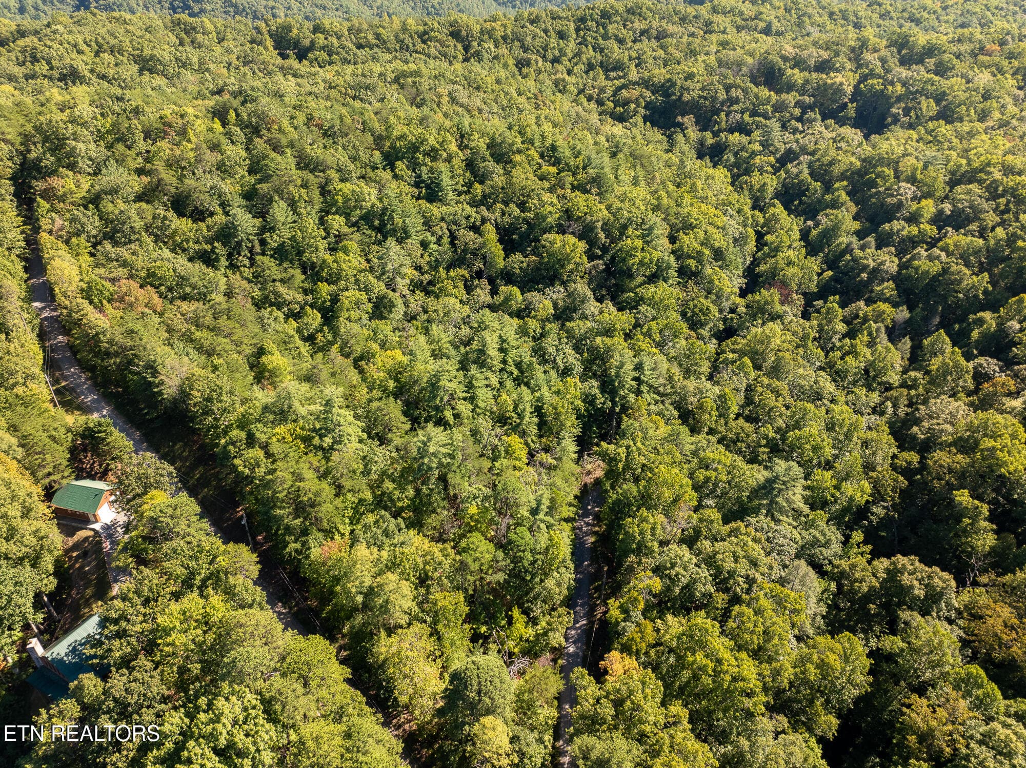 Real Estate - Saddle Ridge _Walland_9-25 - TBD Walnut Flats Rd, Walland, TN 37886, Walland