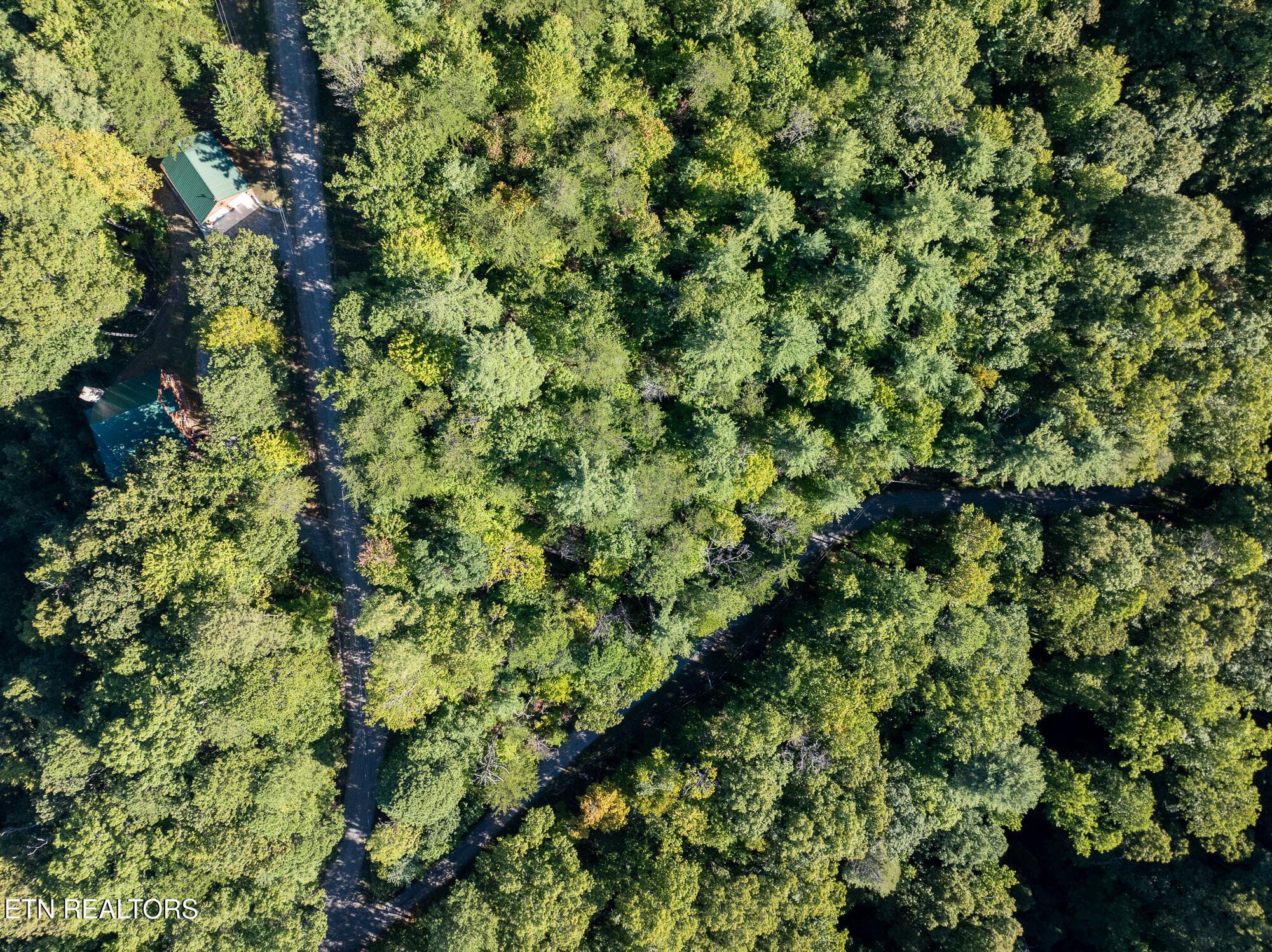 Real Estate - Saddle Ridge _Walland_9-25 - TBD Walnut Flats Rd, Walland, TN 37886, Walland