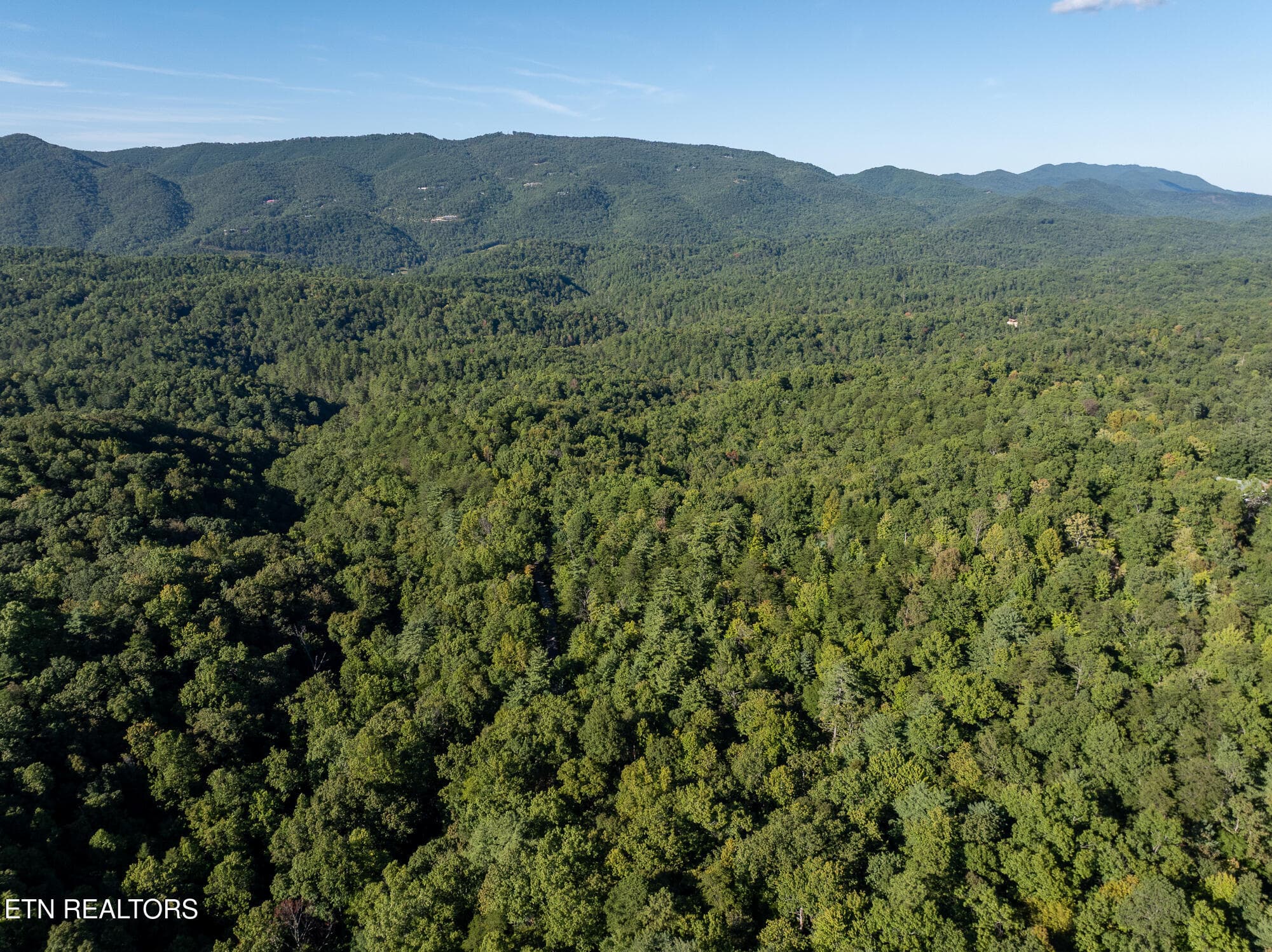 Real Estate - Saddle Ridge _Walland_9-25 - TBD Walnut Flats Rd, Walland, TN 37886, Walland