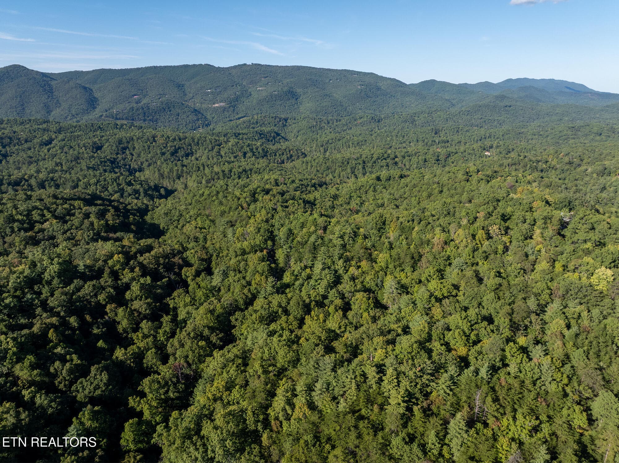 Real Estate - Saddle Ridge _Walland_9-25 - TBD Walnut Flats Rd, Walland, TN 37886, Walland