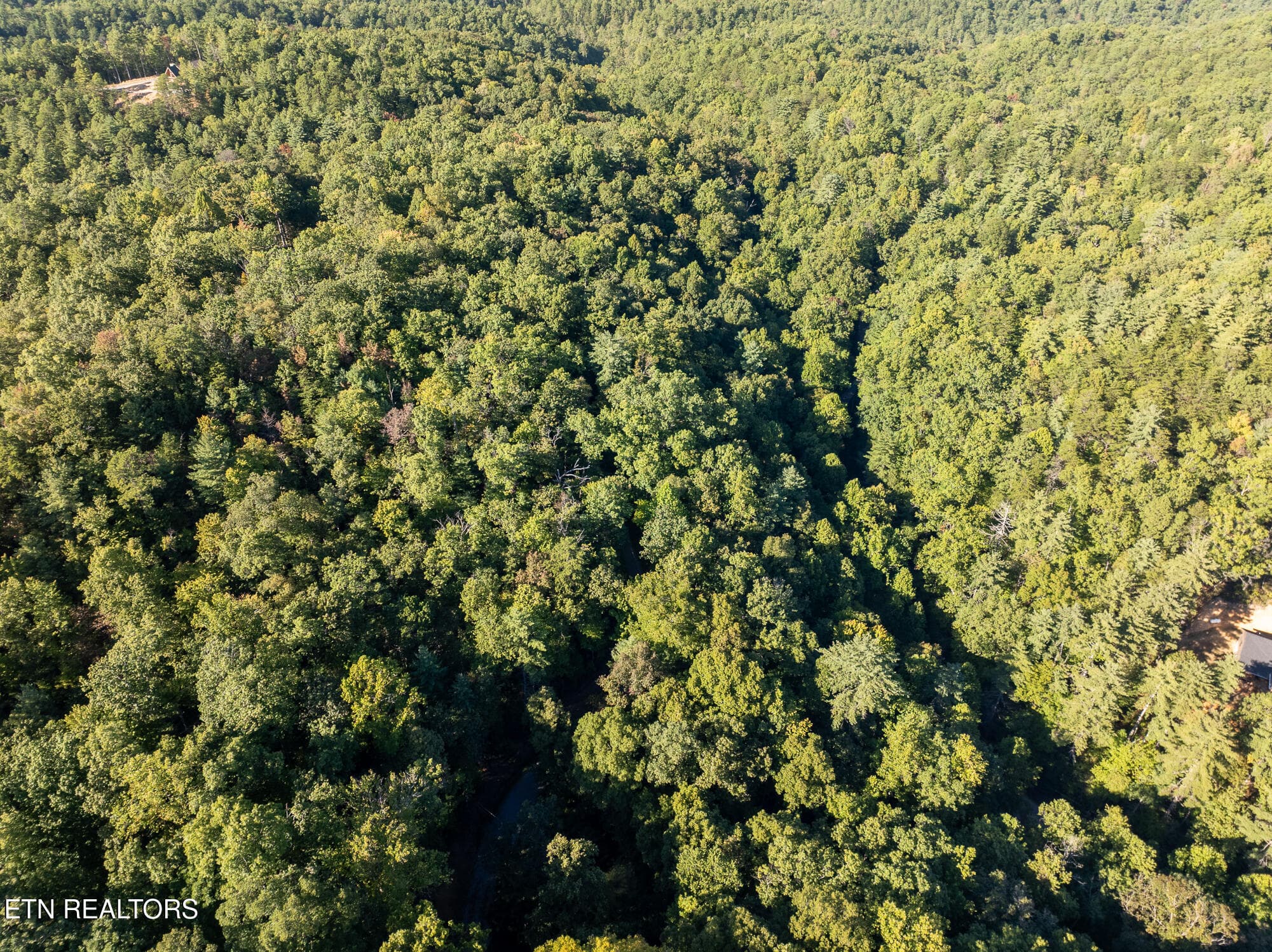 Real Estate - Saddle Ridge _Walland_9-25 - TBD Walnut Flats Rd, Walland, TN 37886, Walland