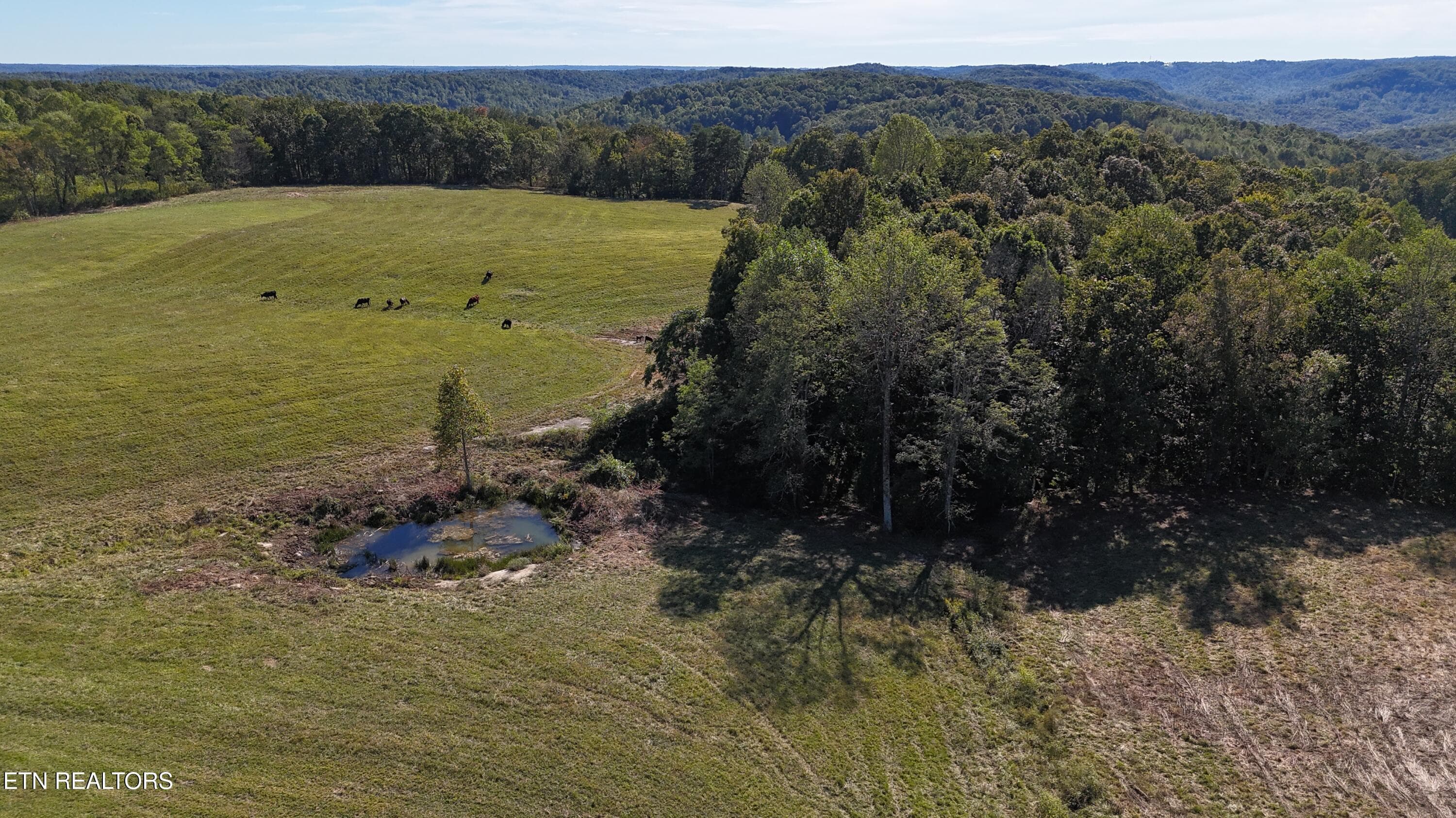 DJI_20260927152729_0054_D - Murphy Rd, Crawford, TN 38554