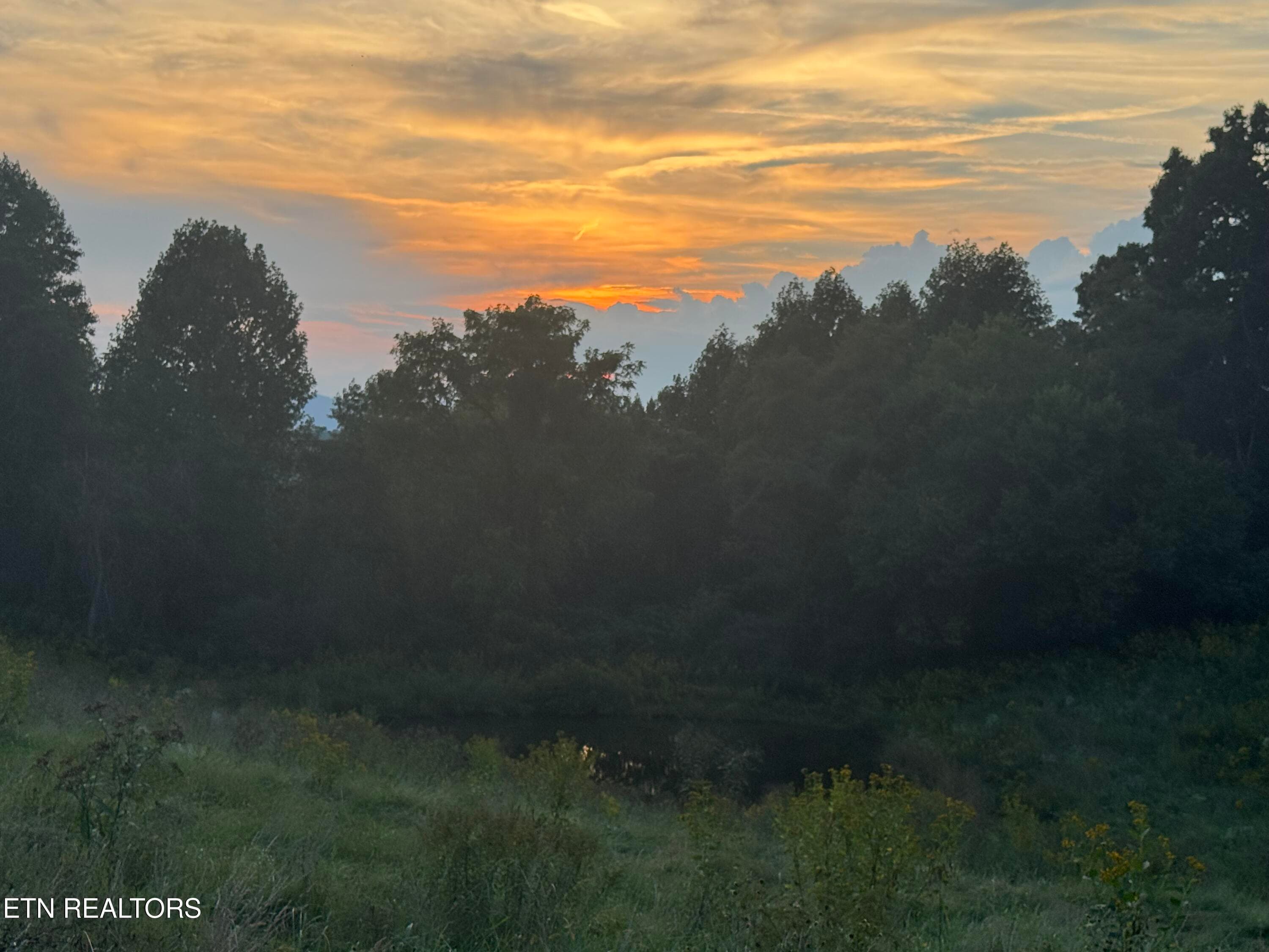 Views - 2961 Forge Ridge Rd, Harrogate, TN 37752, Harrogate