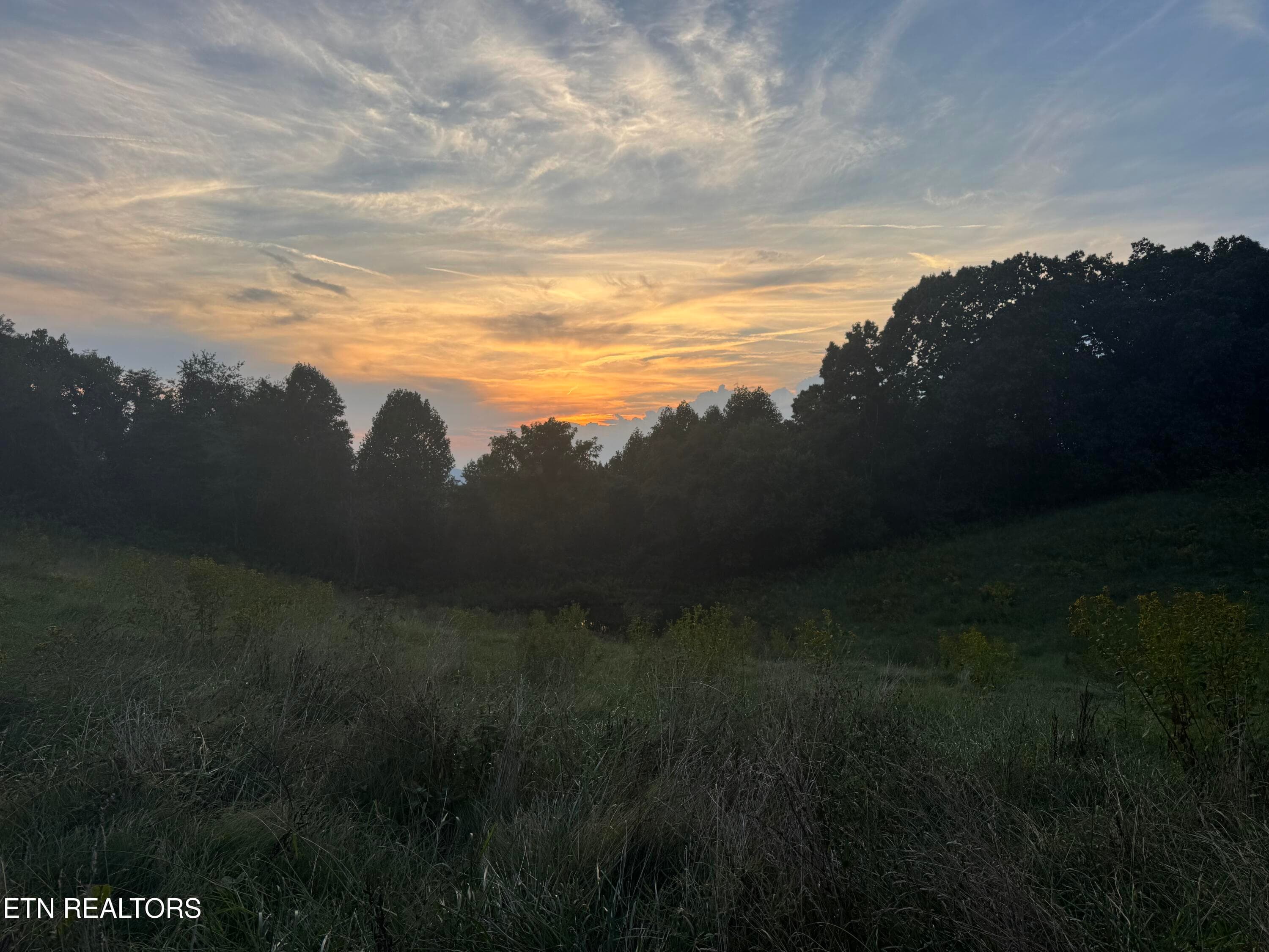 Views - 2961 Forge Ridge Rd, Harrogate, TN 37752, Harrogate