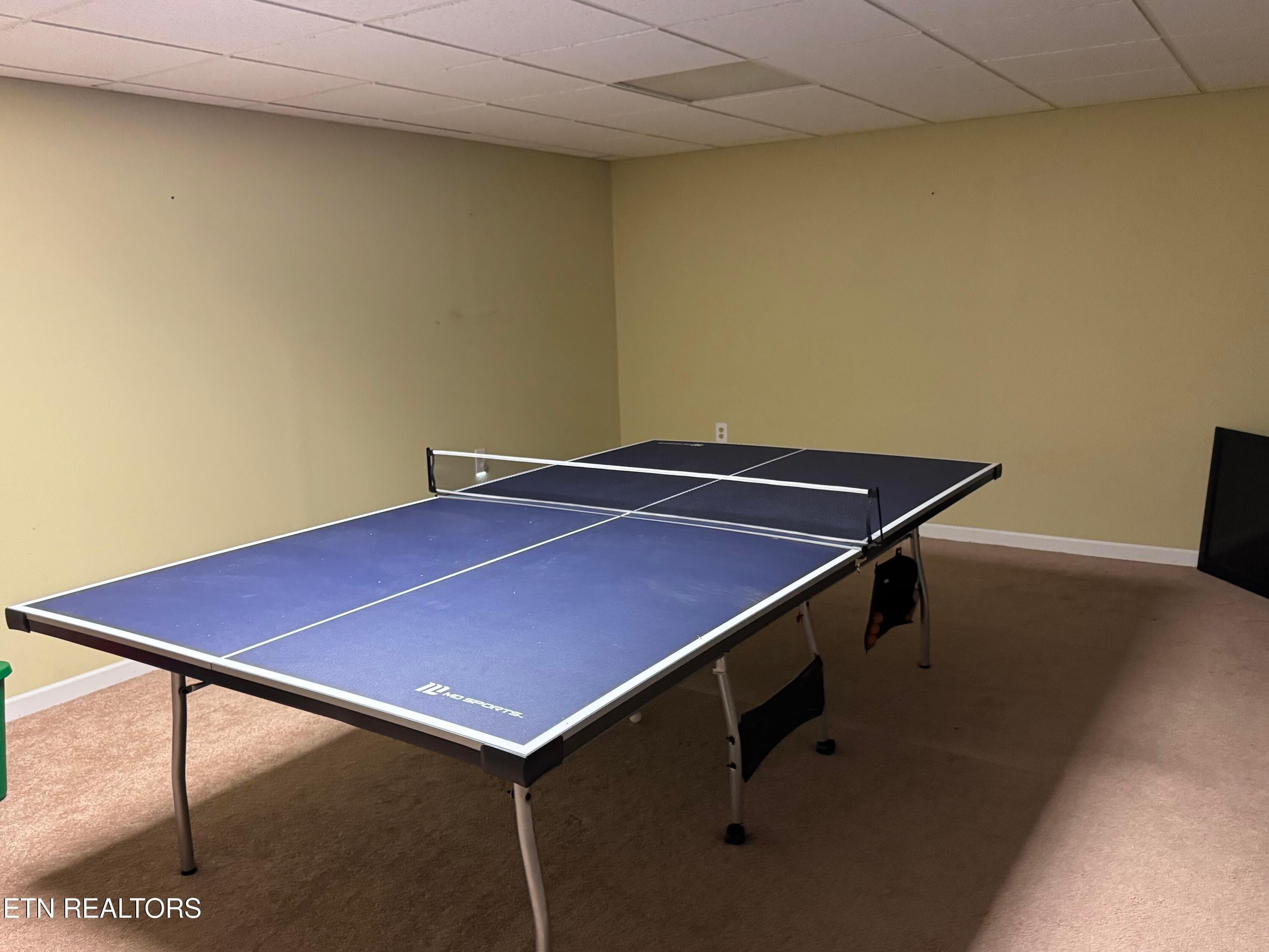 Basement Rec Room - 2961 Forge Ridge Rd, Harrogate, TN 37752, Harrogate