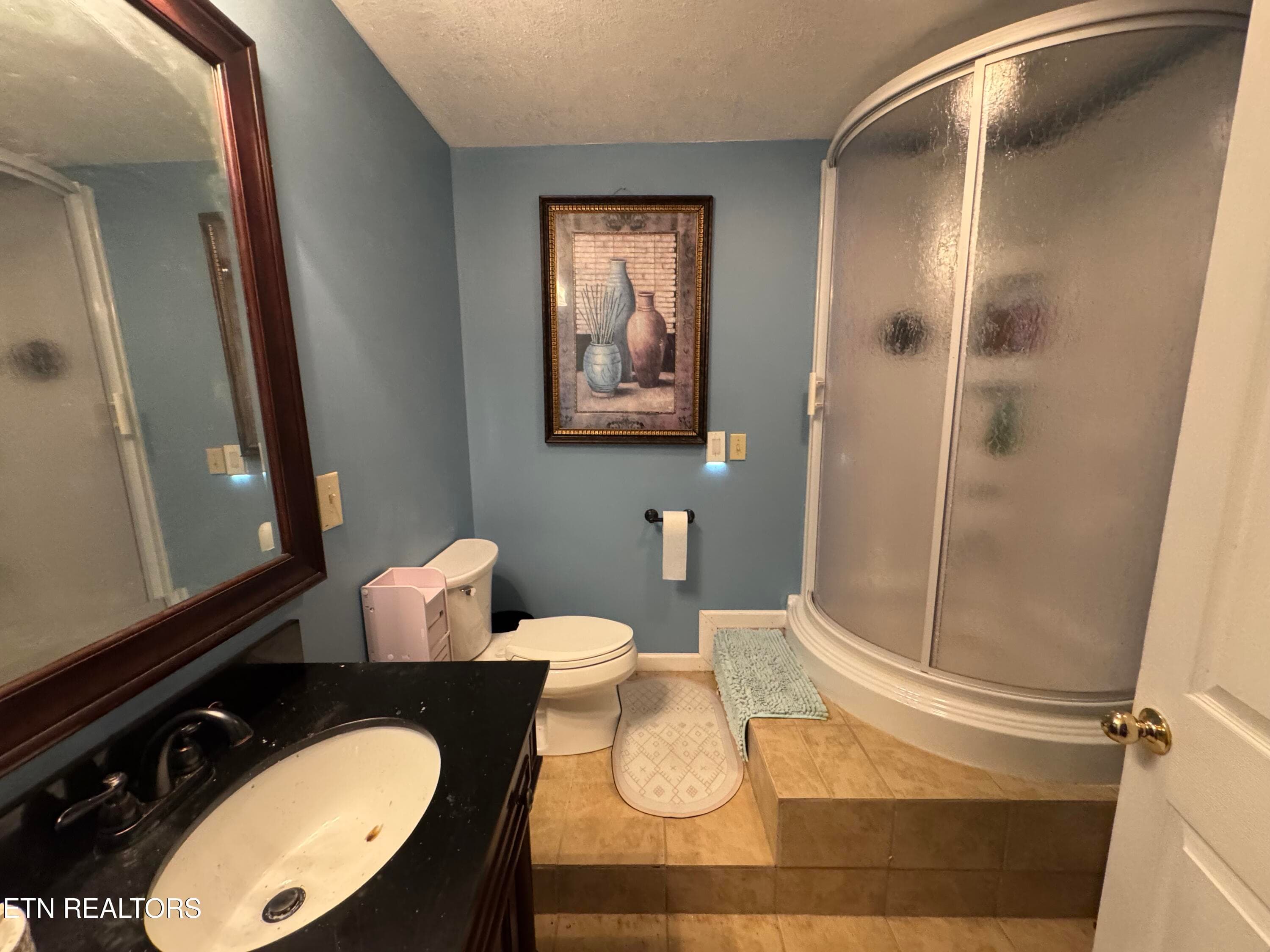 Basement Bath - 2961 Forge Ridge Rd, Harrogate, TN 37752, Harrogate