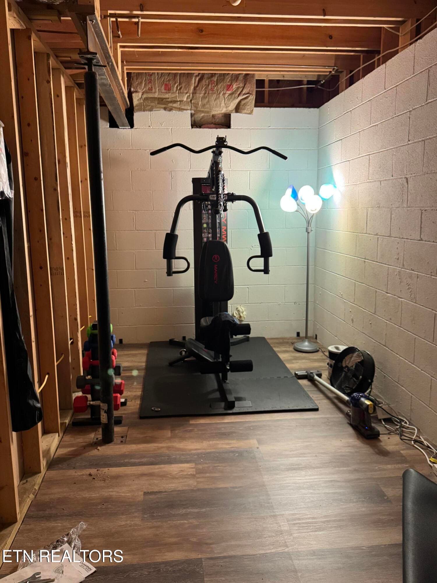 Workout room 2 basement - 2961 Forge Ridge Rd, Harrogate, TN 37752, Harrogate