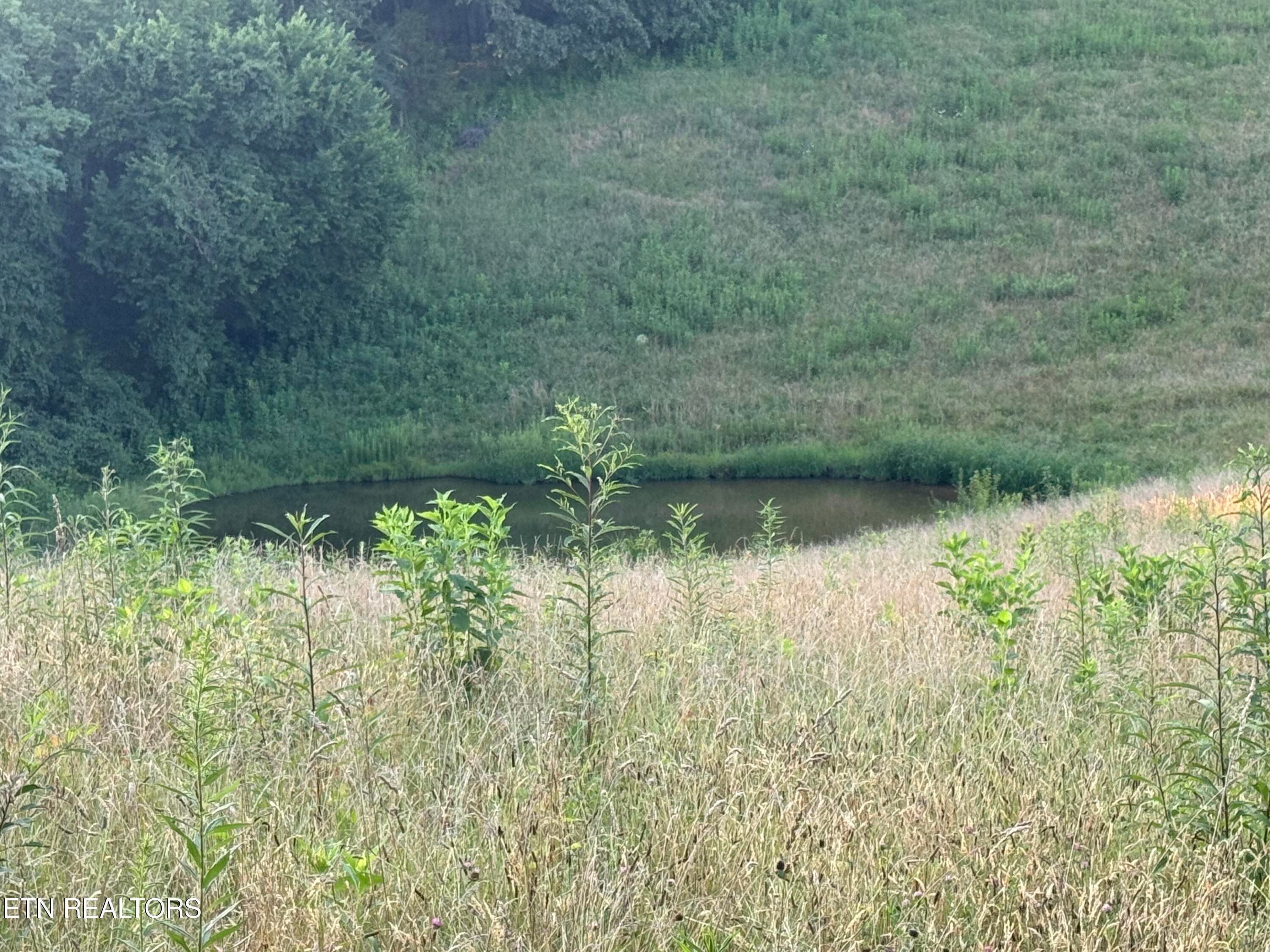 Pond - 2961 Forge Ridge Rd, Harrogate, TN 37752, Harrogate