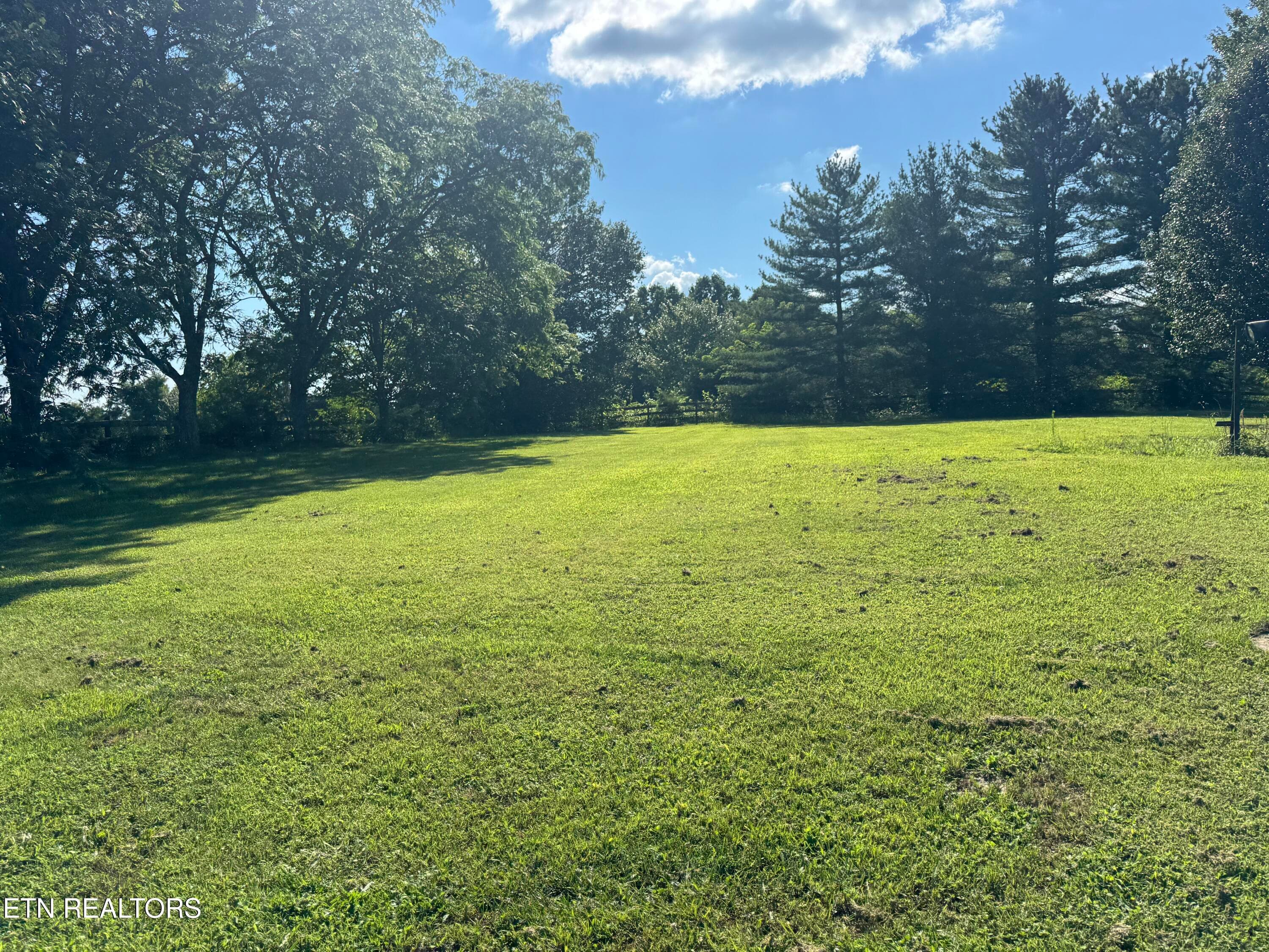 Yard - 2961 Forge Ridge Rd, Harrogate, TN 37752, Harrogate