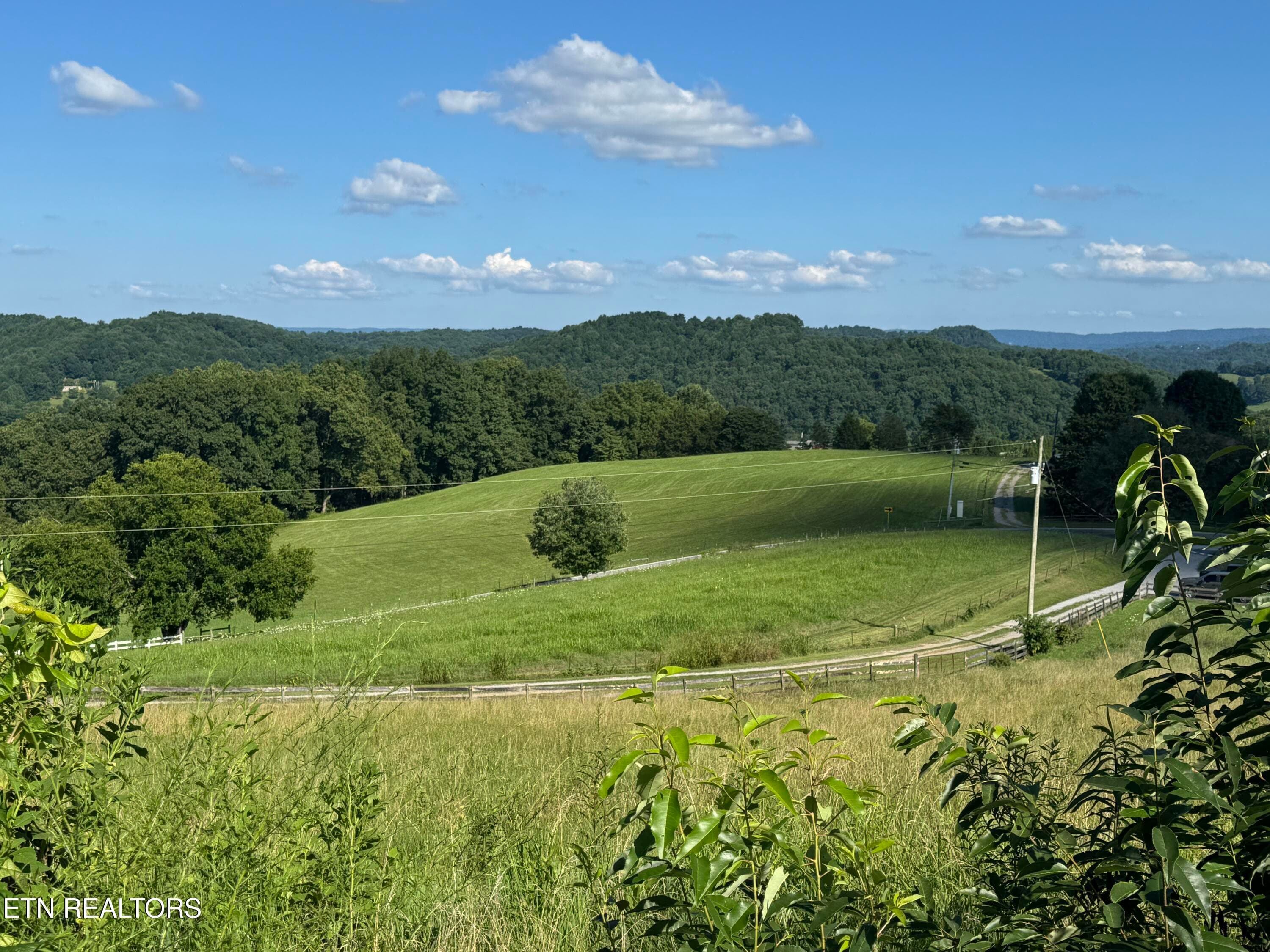 Mountain Views - 2961 Forge Ridge Rd, Harrogate, TN 37752, Harrogate