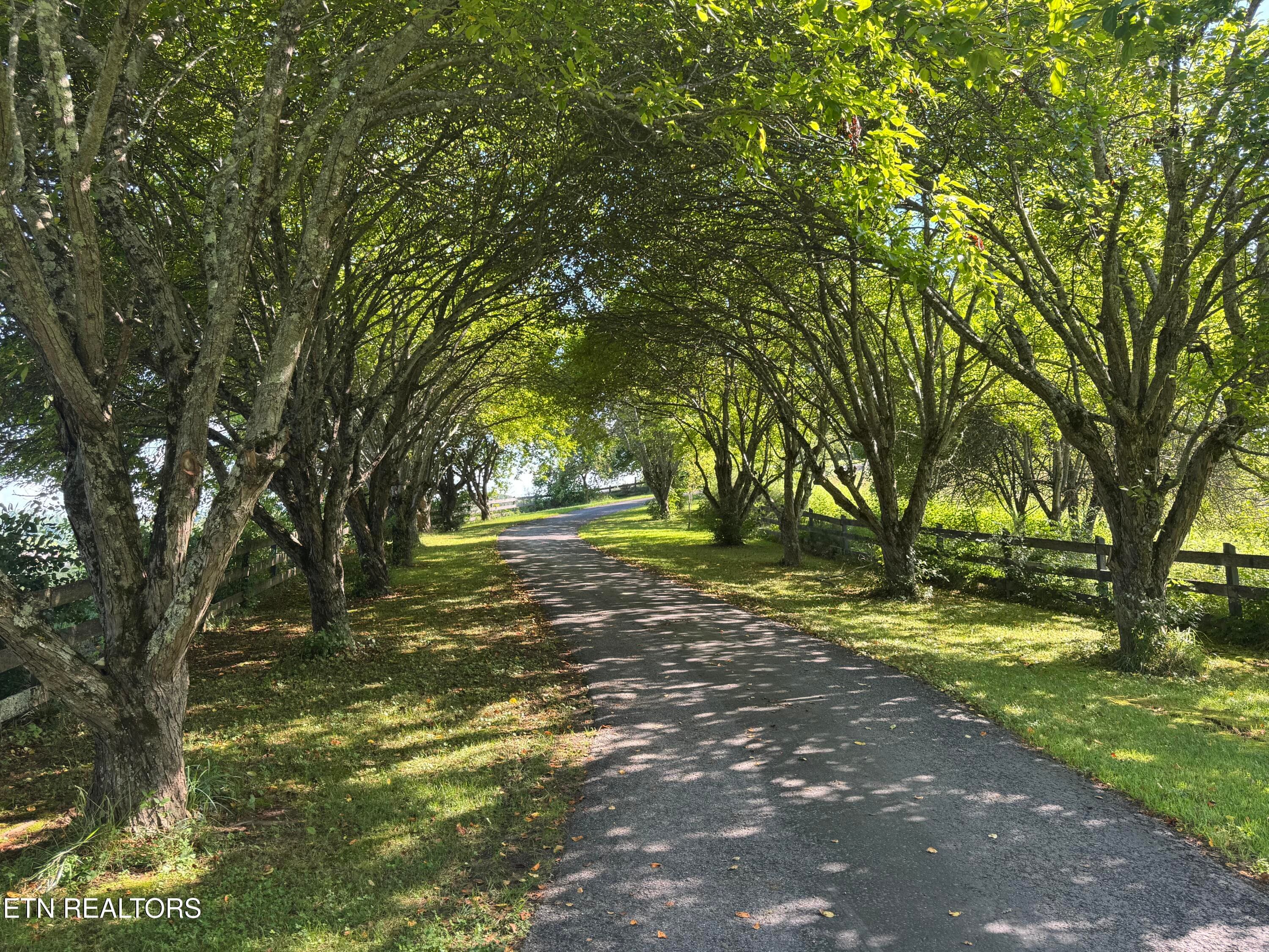 IMG_2997 - 2961 Forge Ridge Rd, Harrogate, TN 37752, Harrogate