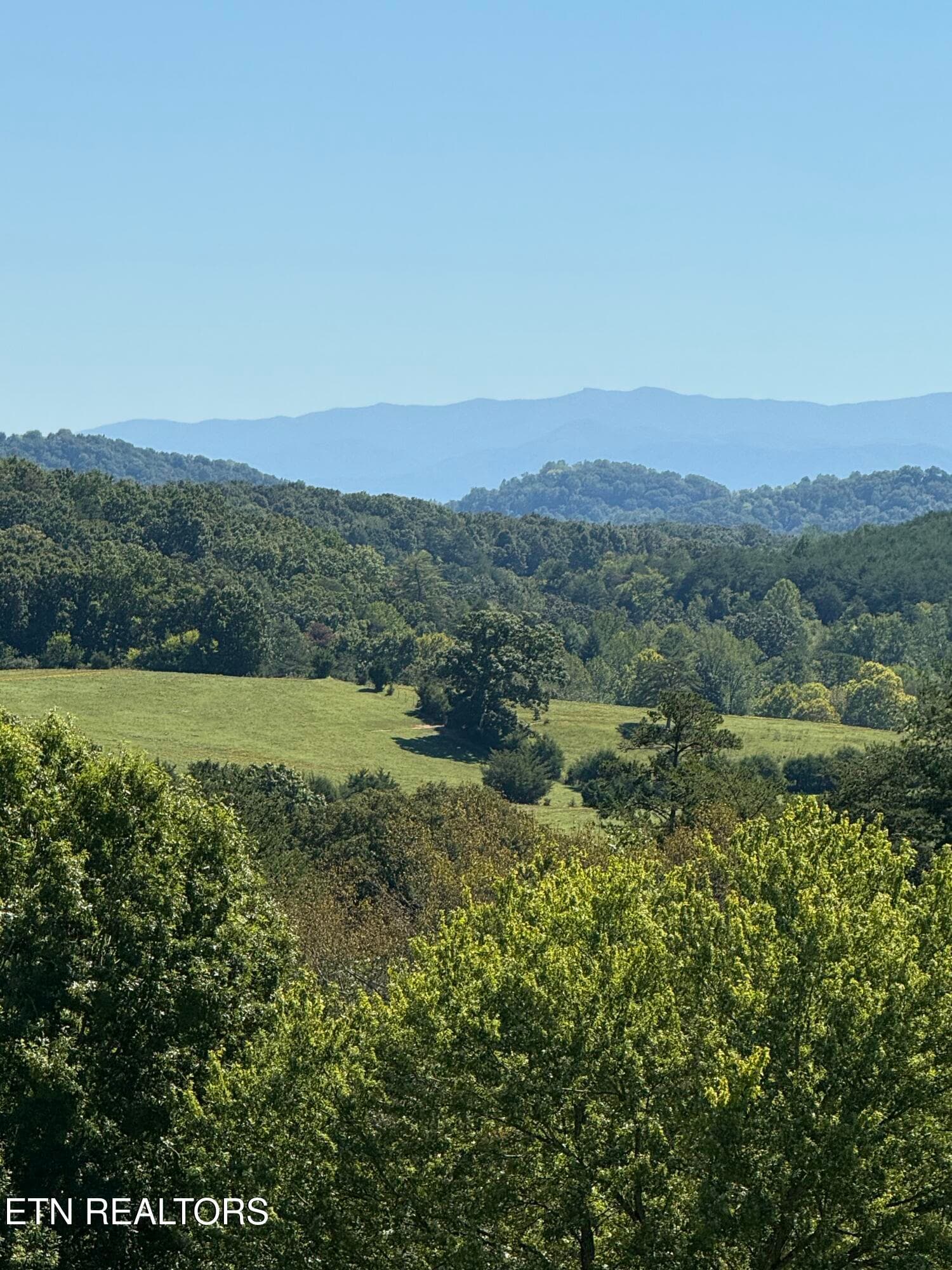 Lot 31 Pic 6 - 194 Forest Ridge Lane, Greenback, TN 37742