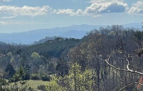 Lot 31 Pic 4 - 194 Forest Ridge Lane, Greenback, TN 37742