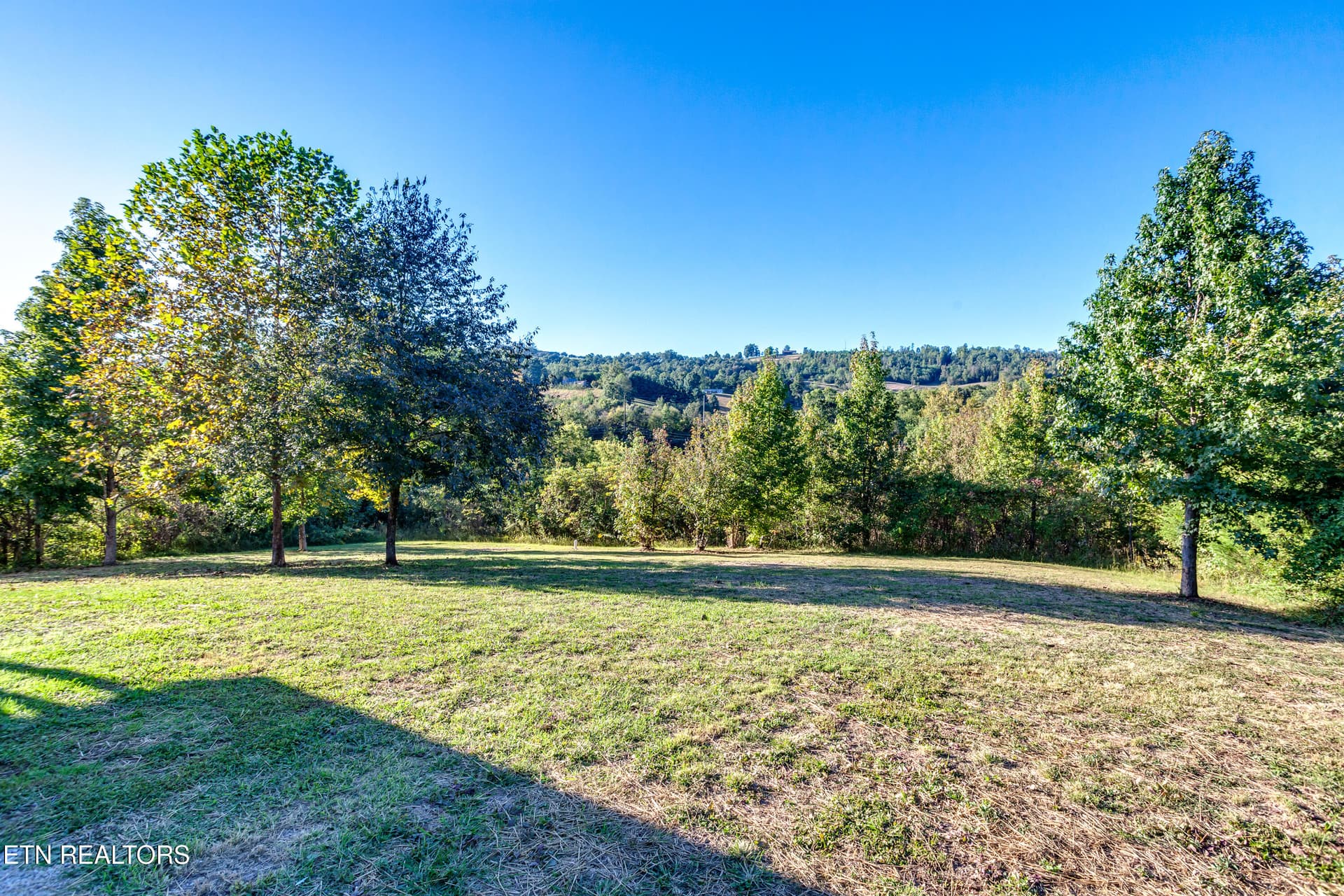 00820260928-3-293LillianLnMaynardvilleTn - 293 Lillian Lane, Maynardville, TN 37807