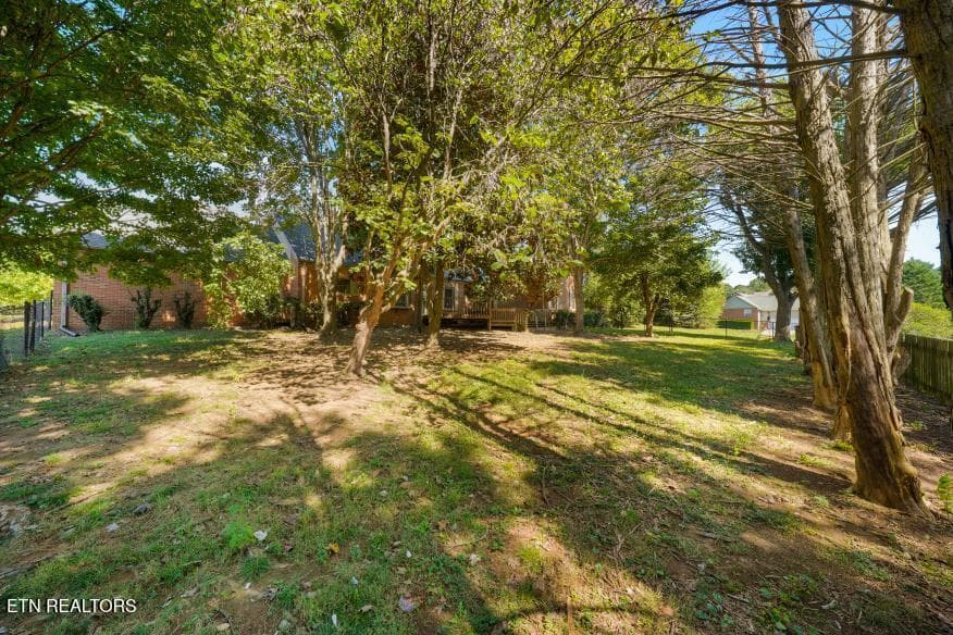 Backyard - 1210 Briar Lea, Sevierville, TN 37862