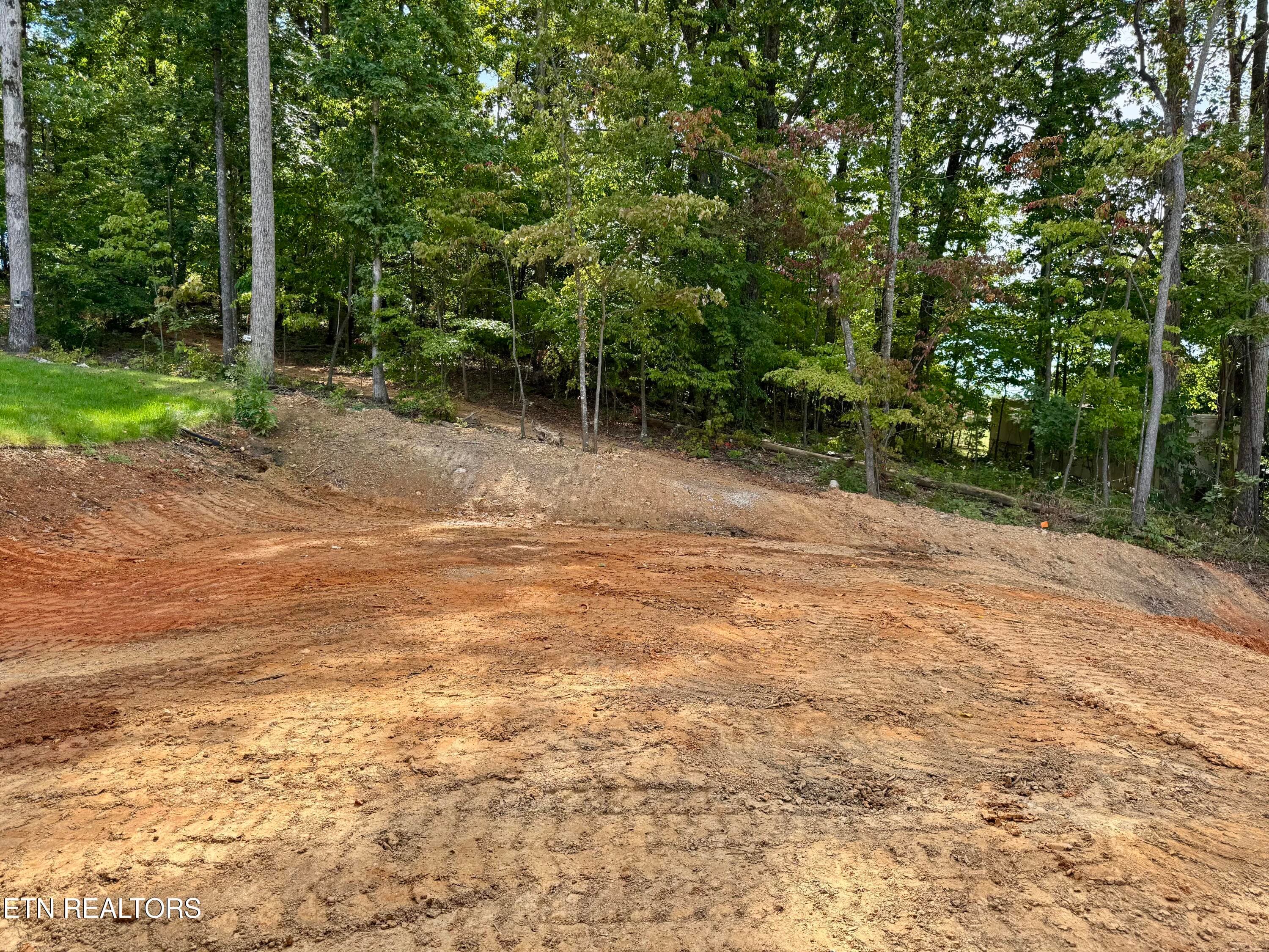 Large Private Backyard - 9938 Rio Bravo Lane, Knoxville, TN 37922, Knoxville