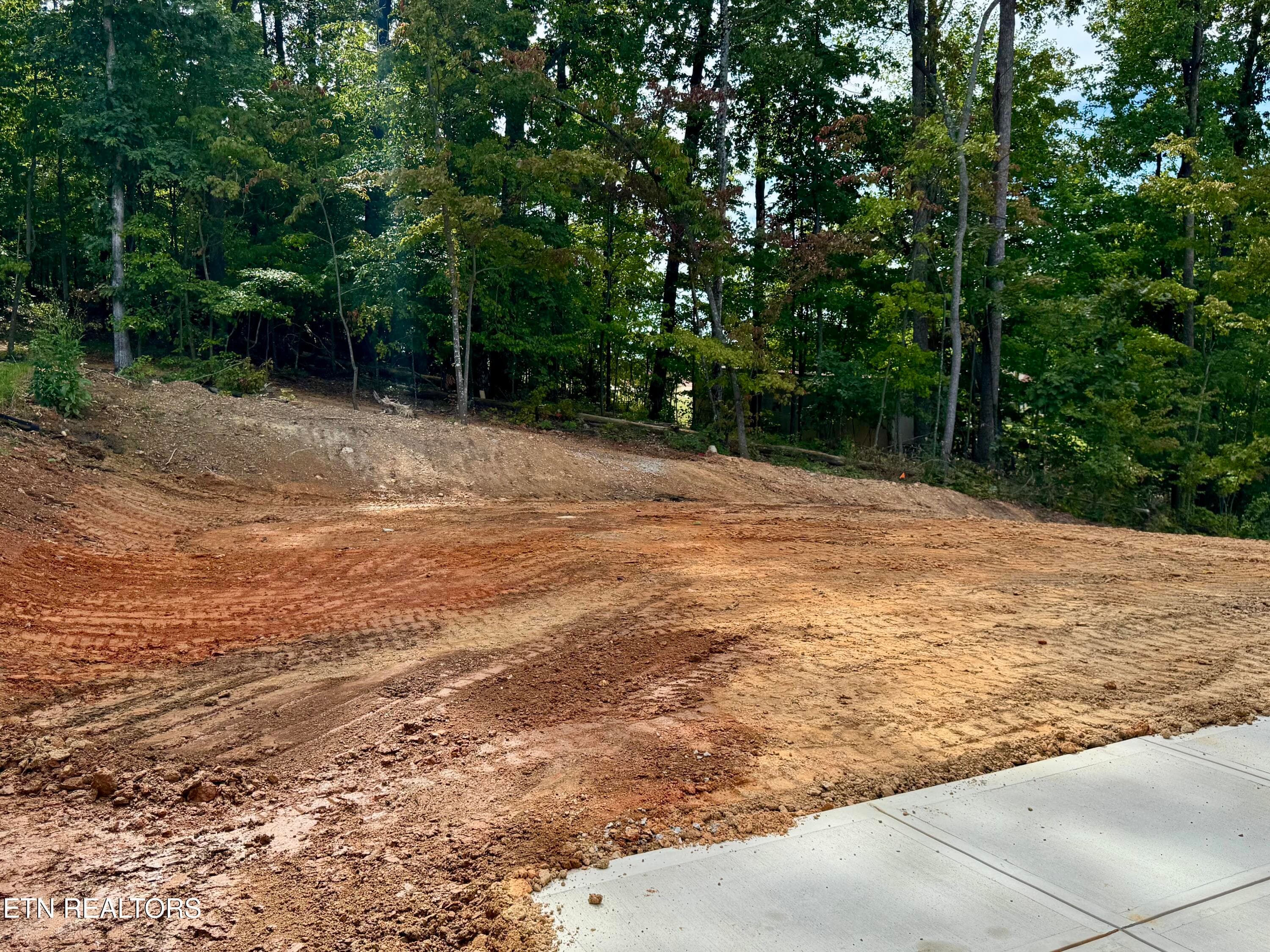 Private Backyard - 9938 Rio Bravo Lane, Knoxville, TN 37922, Knoxville